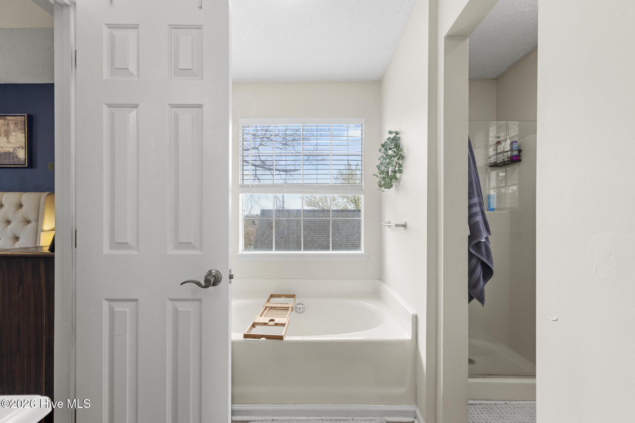 100560413 | Photo 19