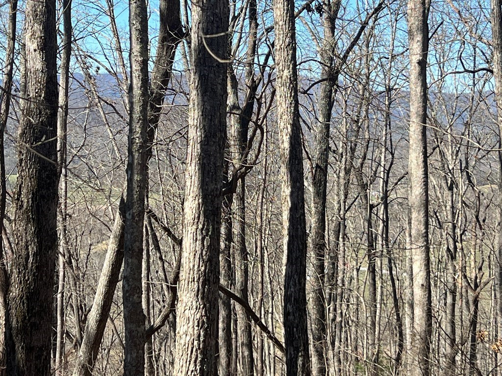 Exterior photo of Lots 7&8 Wikle Road, Hayesville, NC 28904. MLS: 98524512