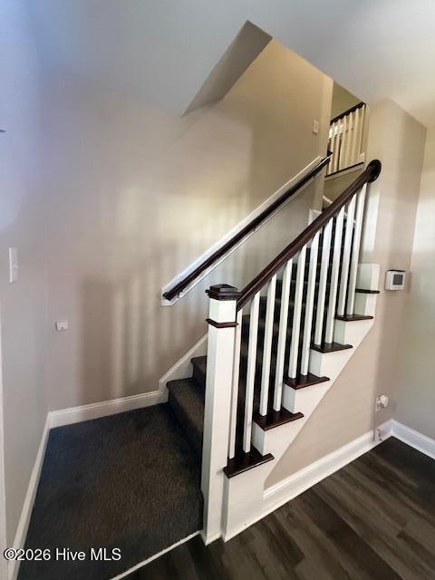 100568953 | Photo 16