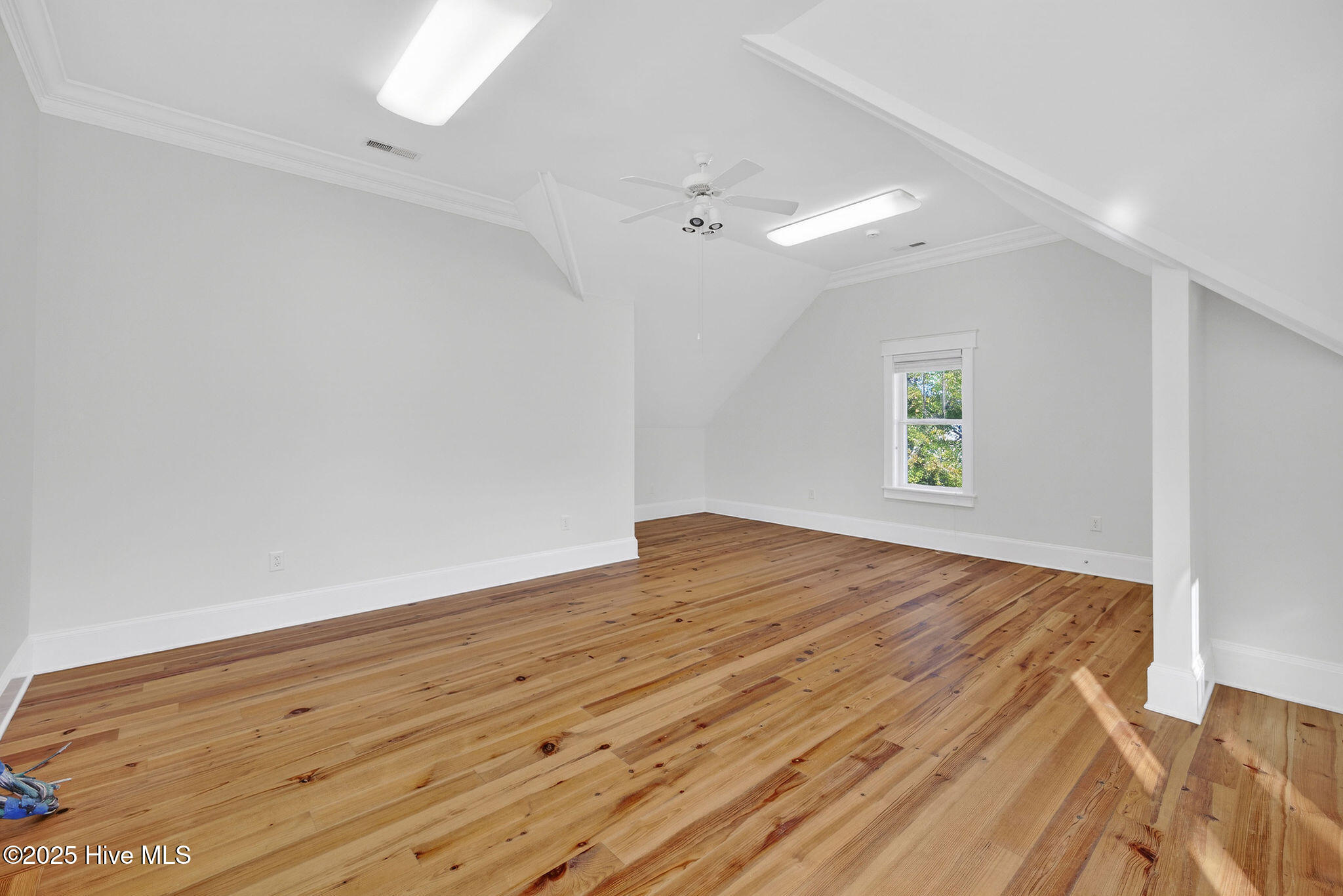 100545451 | Photo 46