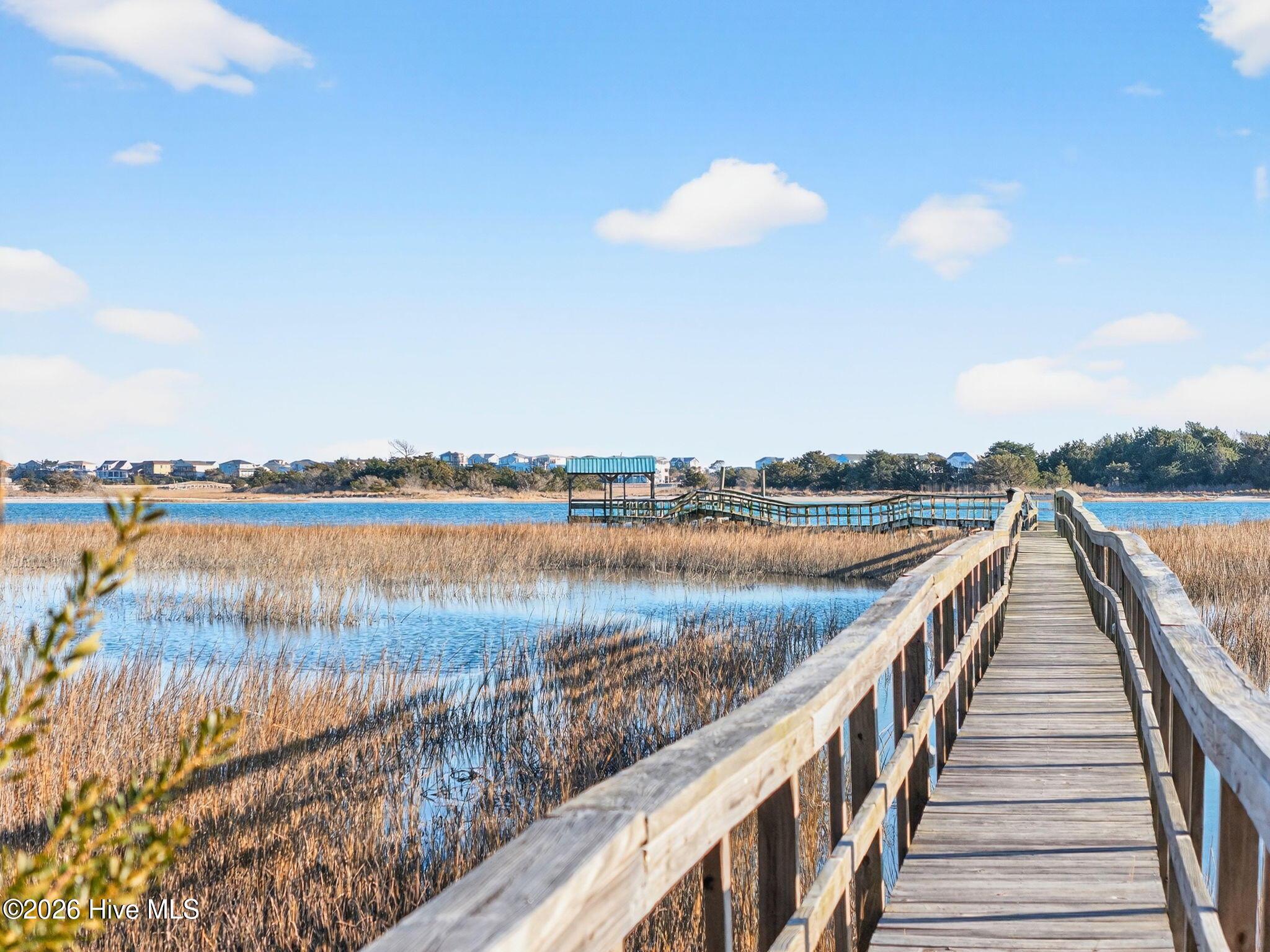 100555125 | Photo 61