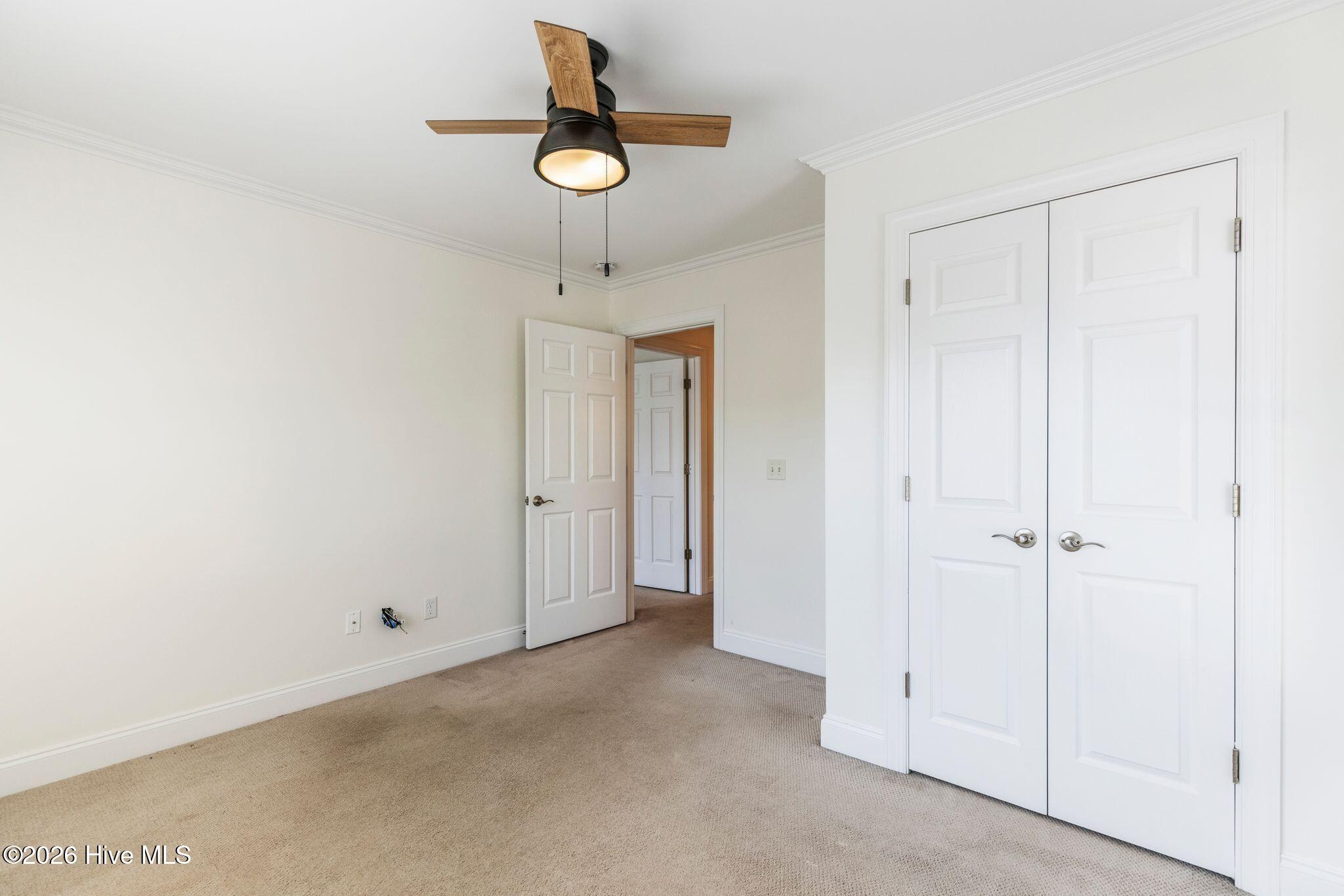 100560146 | Photo 35