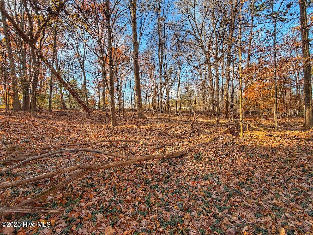 0 Mabry Mill Road, Henderson, NC, 27537