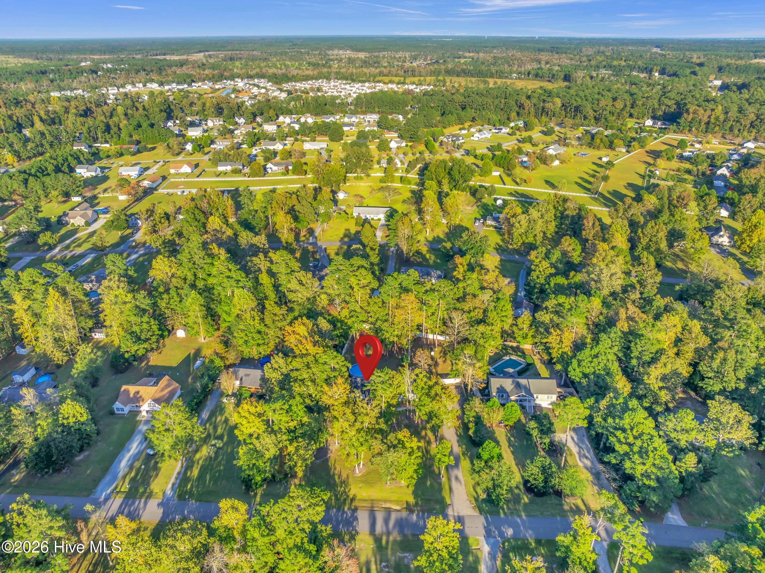 100562256 | Photo 43