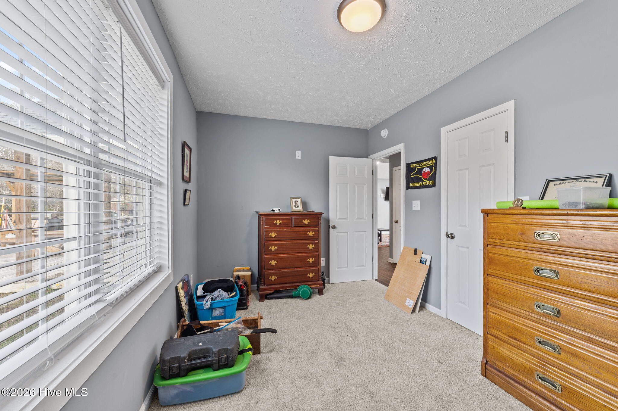 100559045 | Photo 16