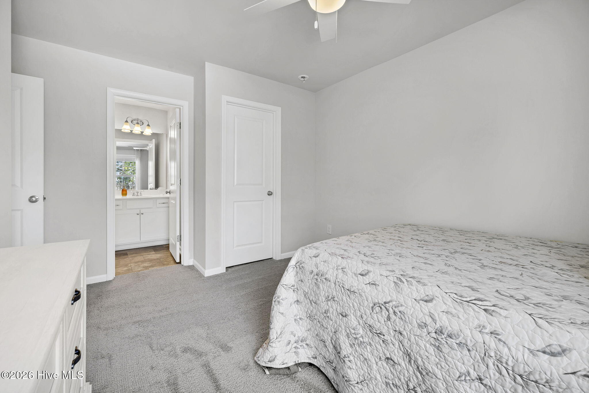 100552838 | Photo 23