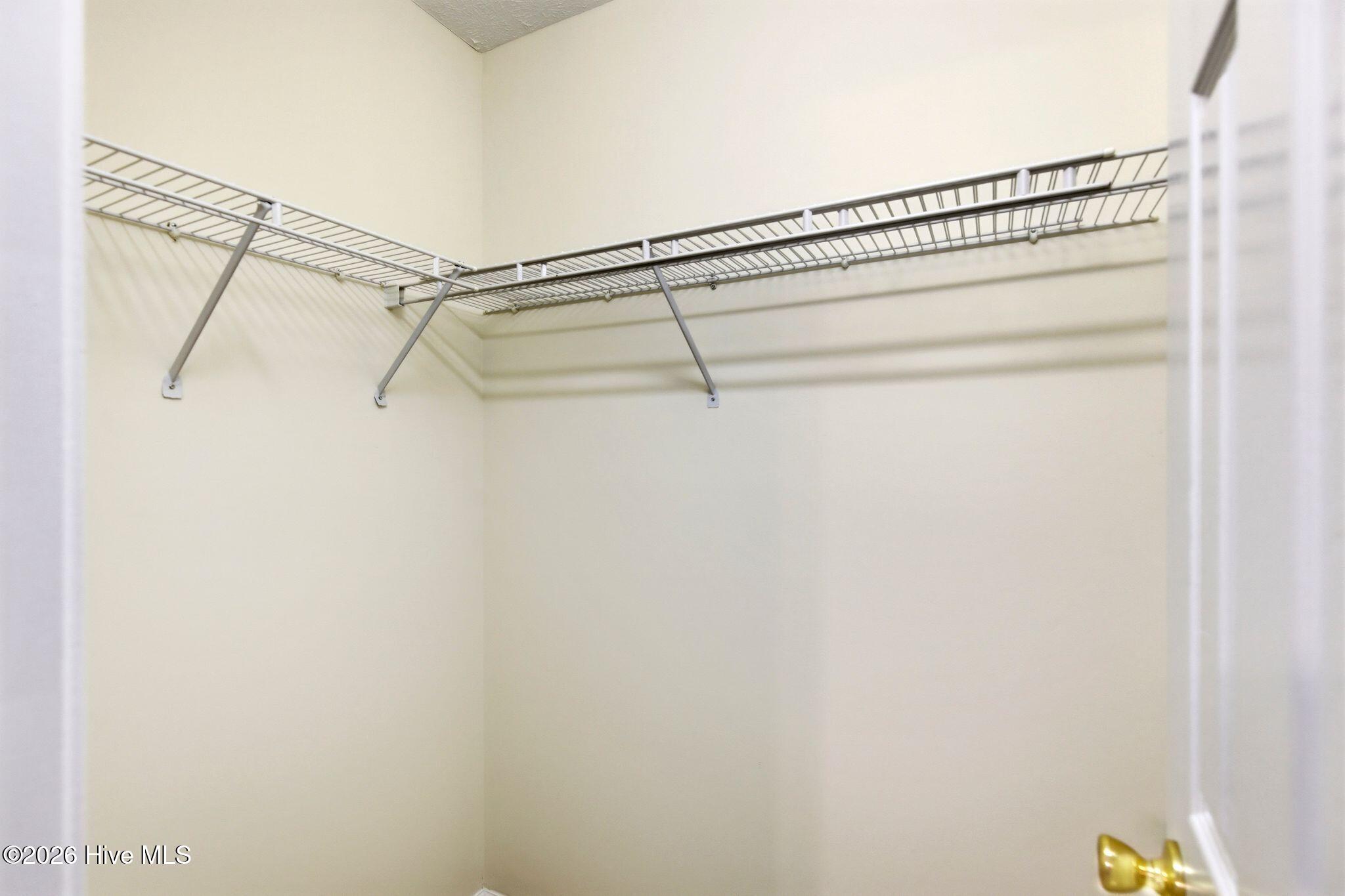 100567246 | Photo 10