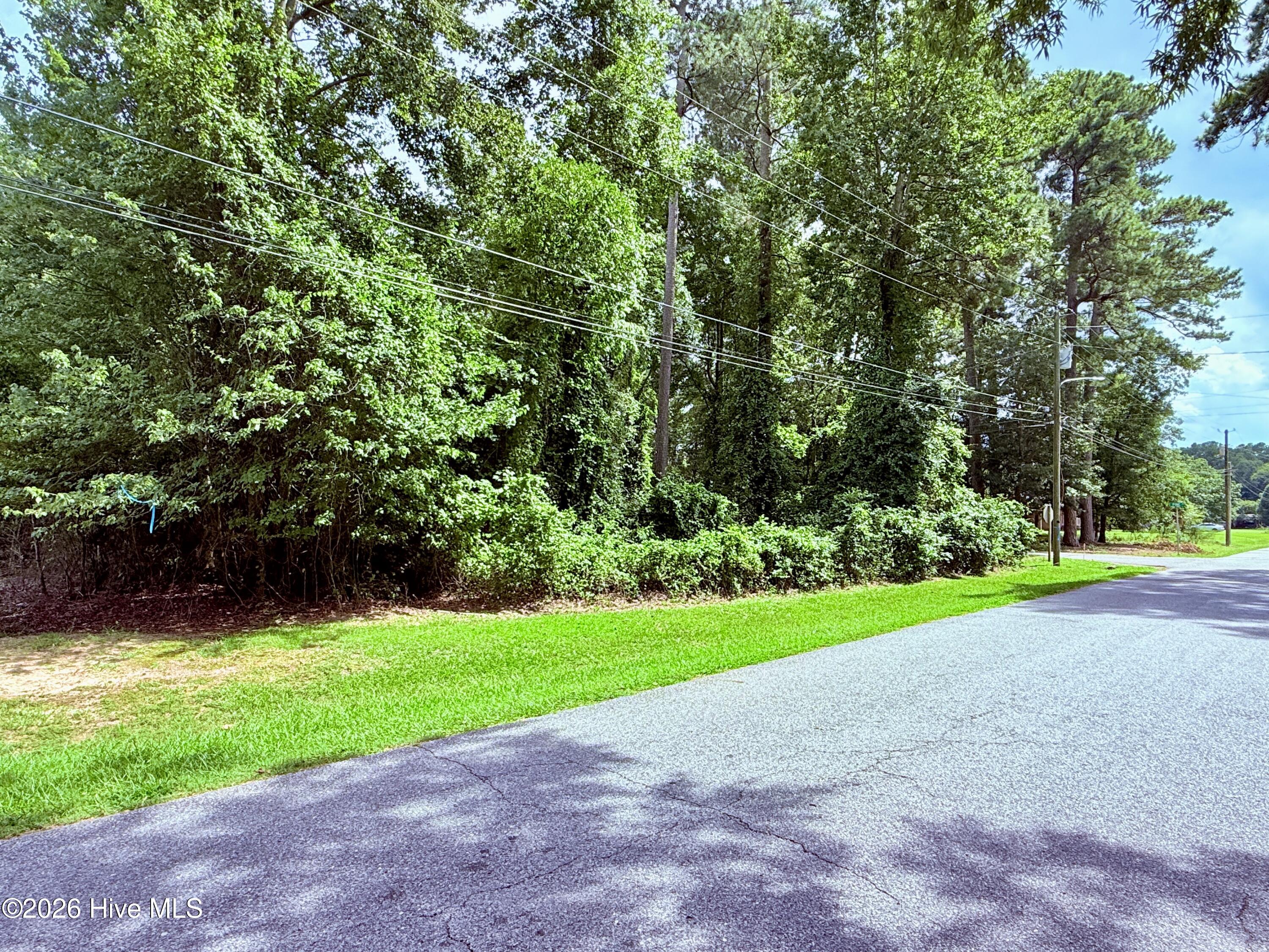 100613241 | Photo 2