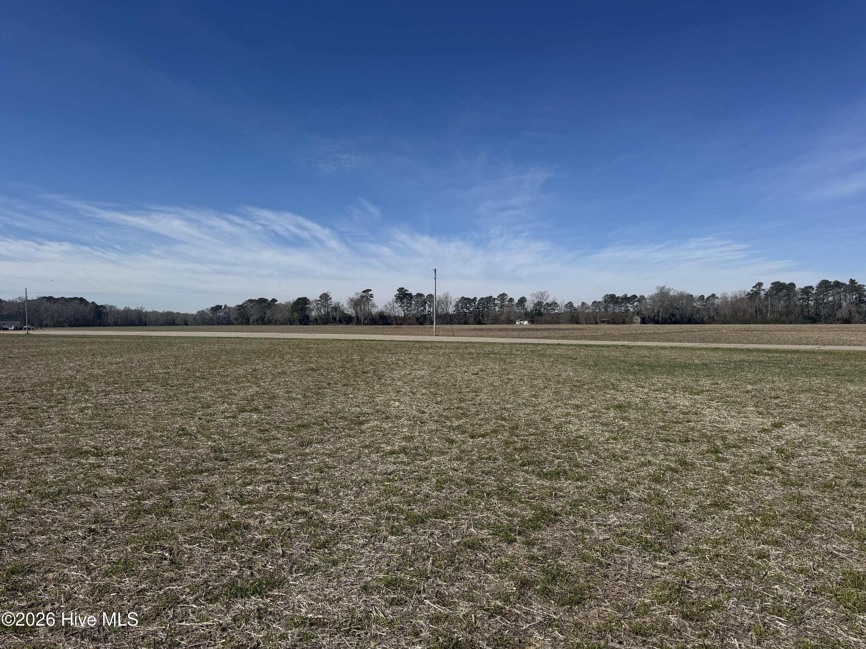 Homes for sale in Cerro Gordo, NC | 0 Near 2034 Haynes Len Hwy, Cerro Gordo, NC 28430 | MLS# 100556975