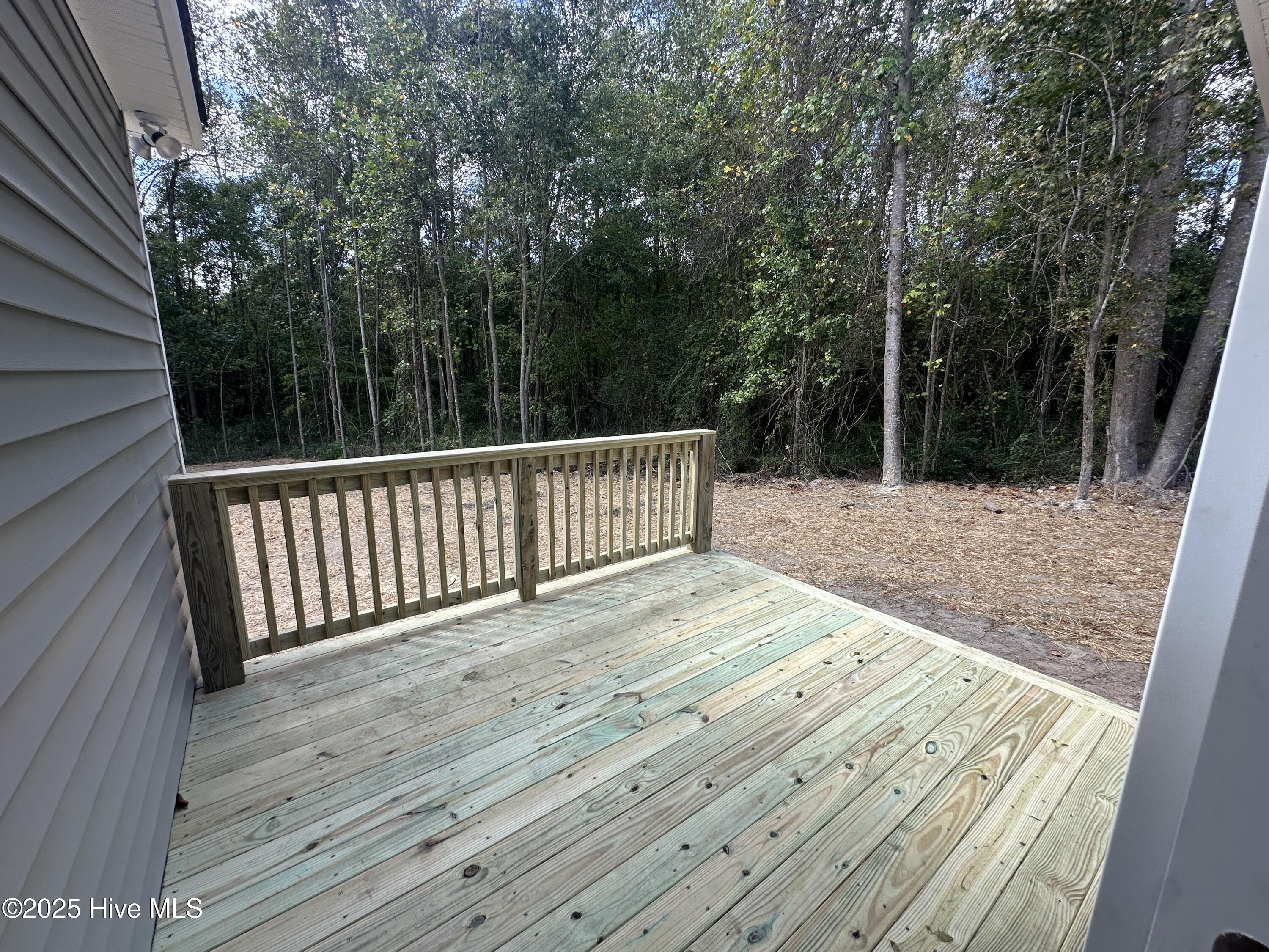 136 Dallas Drive, Beulaville, NC 28518 – photo 21: IMG_6093