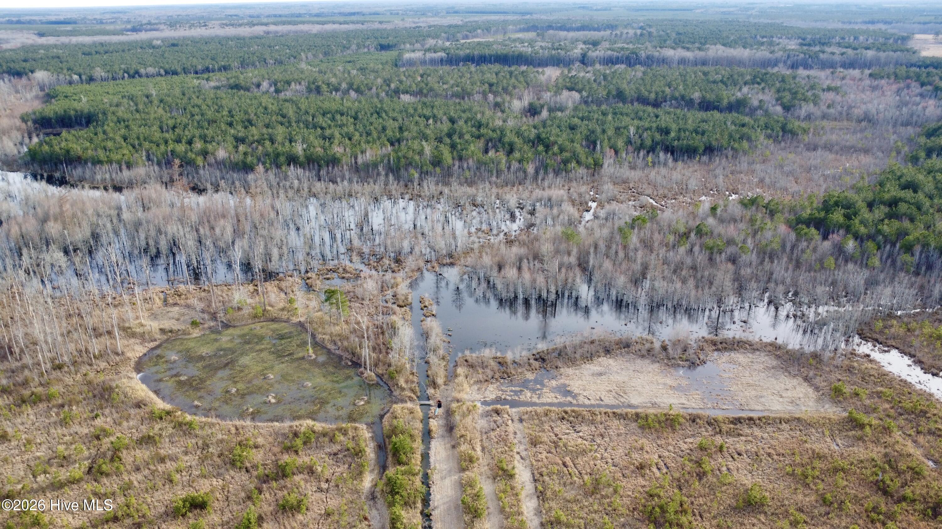 Homes for sale in Windsor, NC | 943 Off 943 Governors Rd Nc 308 Rd, Windsor, NC 27983 | MLS# 100555210