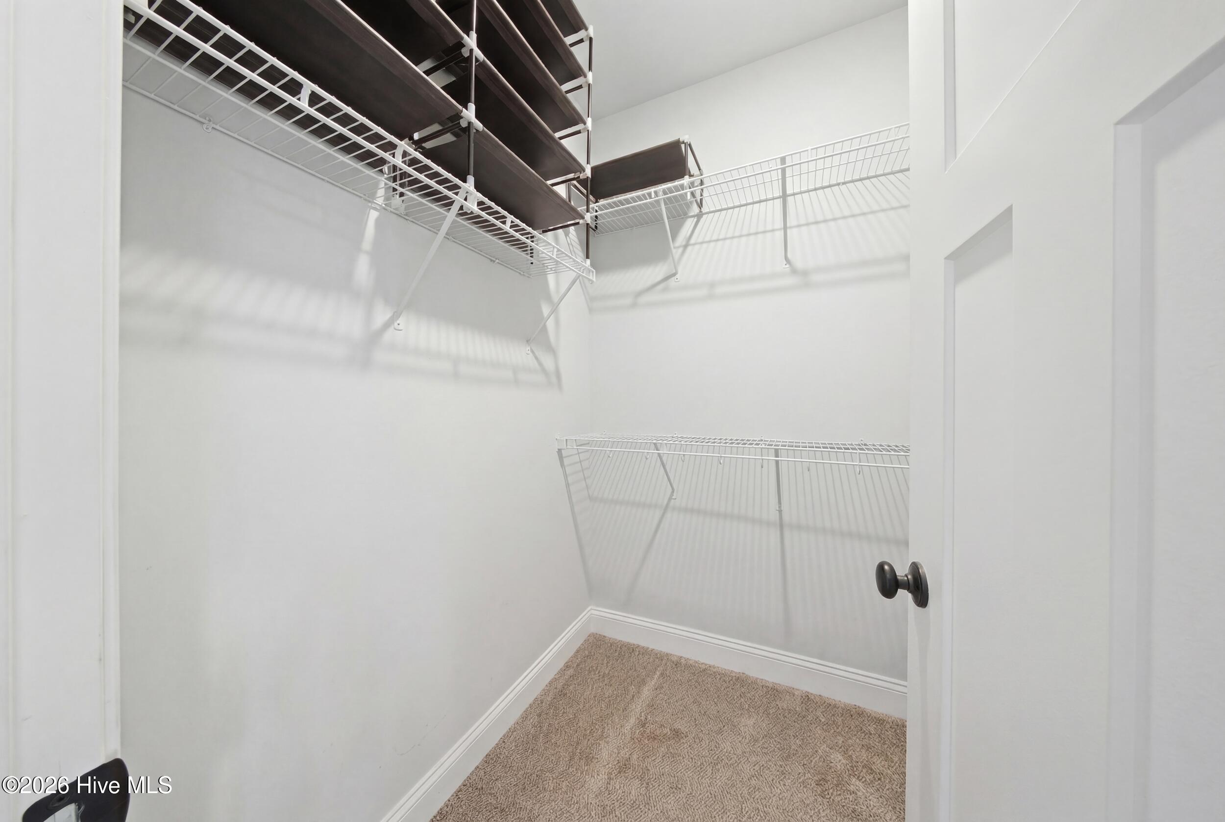 100565388 | Photo 31