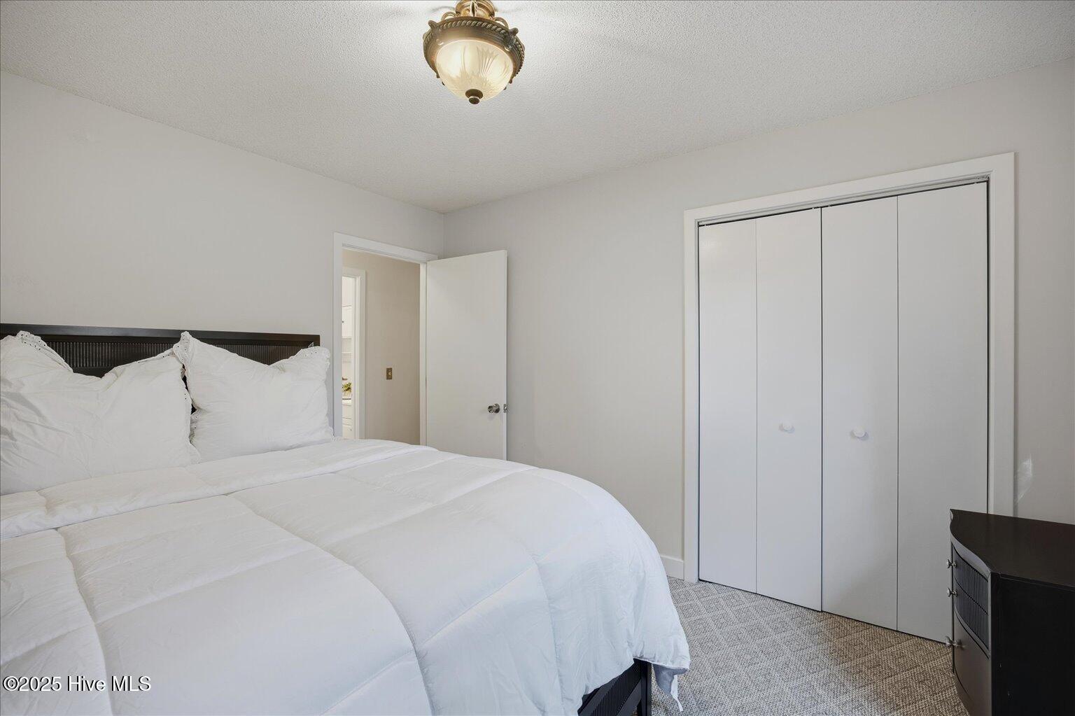 100546671 | Photo 22