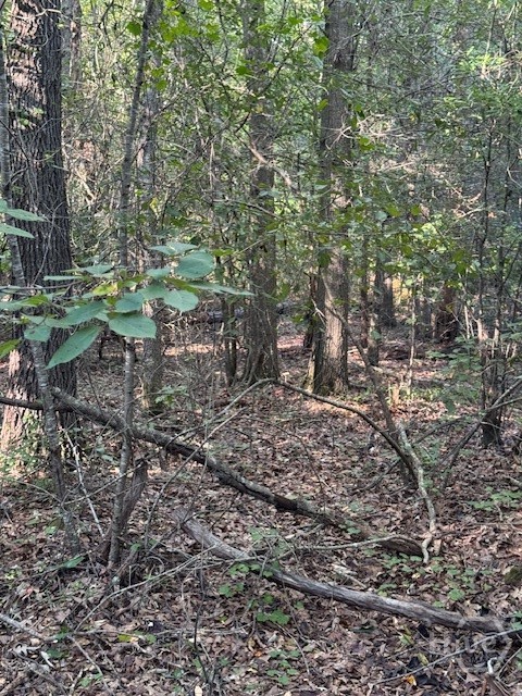 0 Rita Ridge, Jefferson, Georgia, 0 ,Land,For sale,Rita Ridge,CL339873