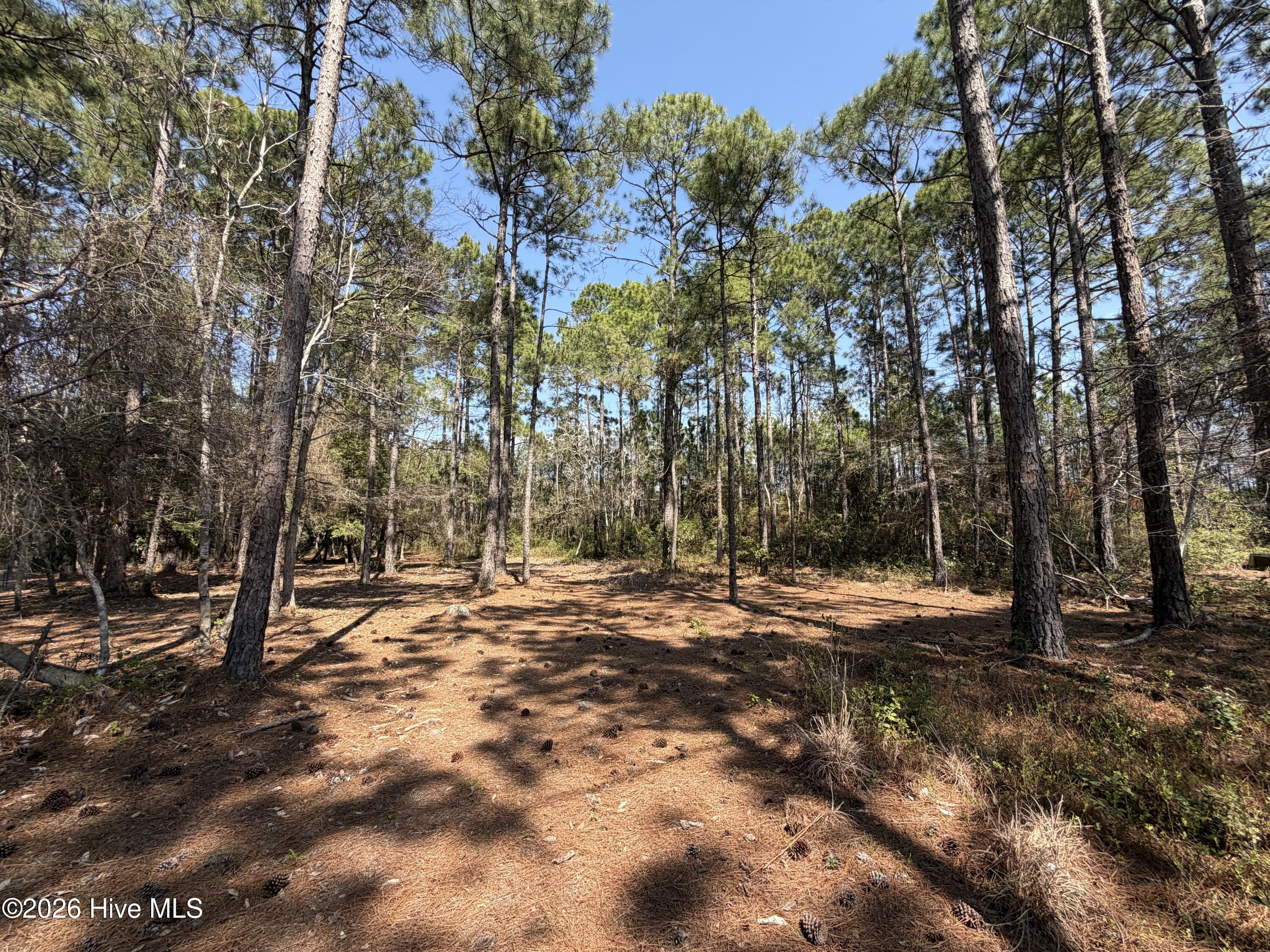 6786 Holton Place, Ocean Isle Beach, NC, 28469