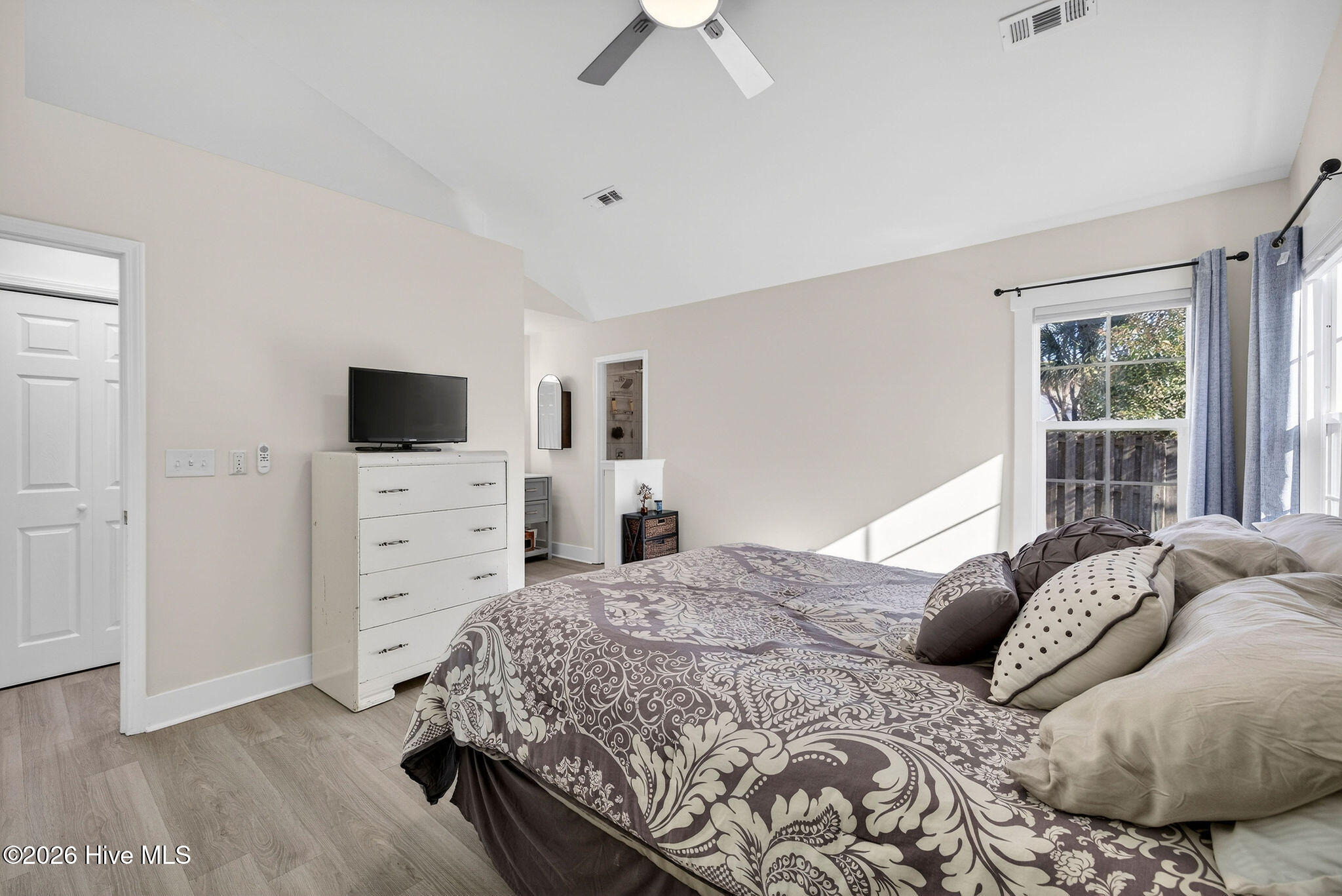 100551856 | Photo 19