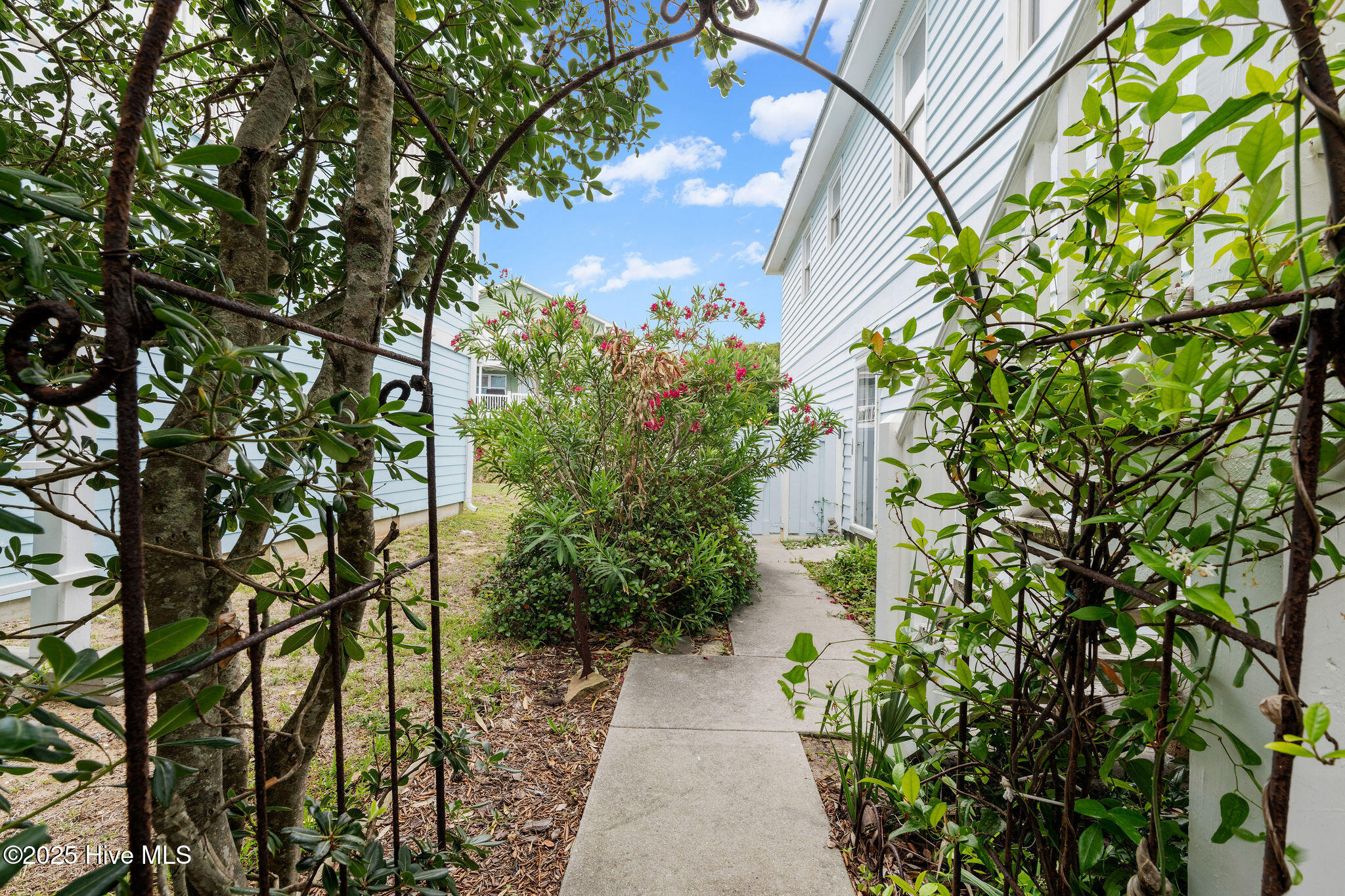 100510595 | Photo 34