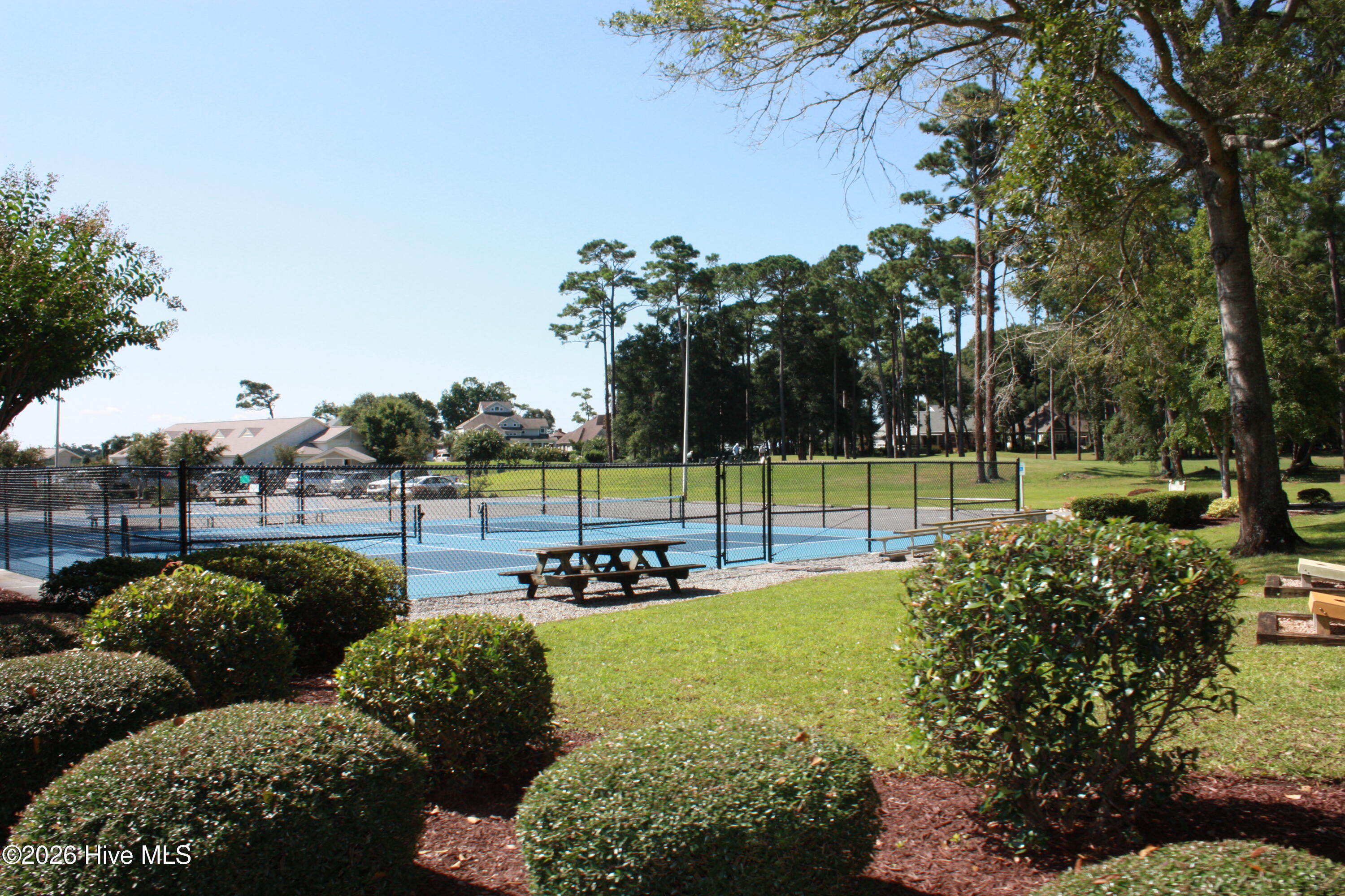 100567872 | Photo 73