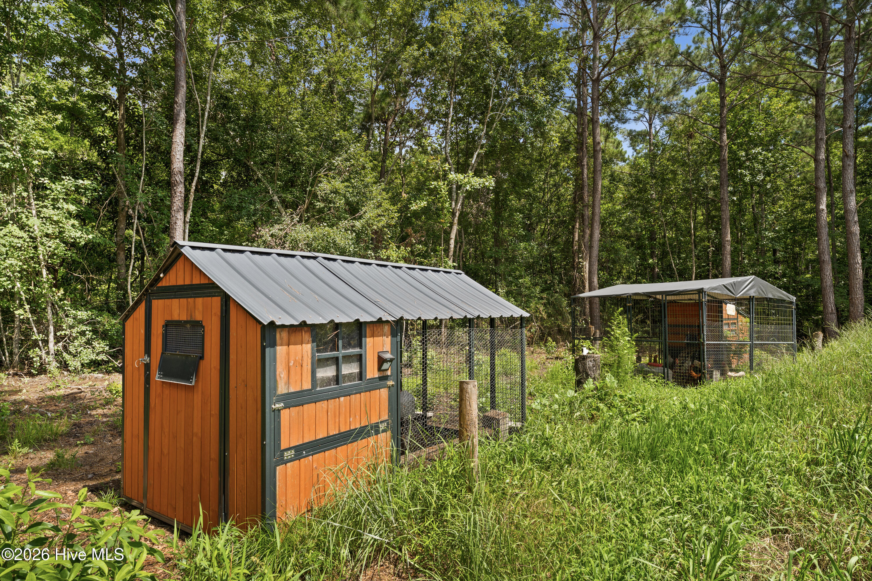 100555595 | Photo 43