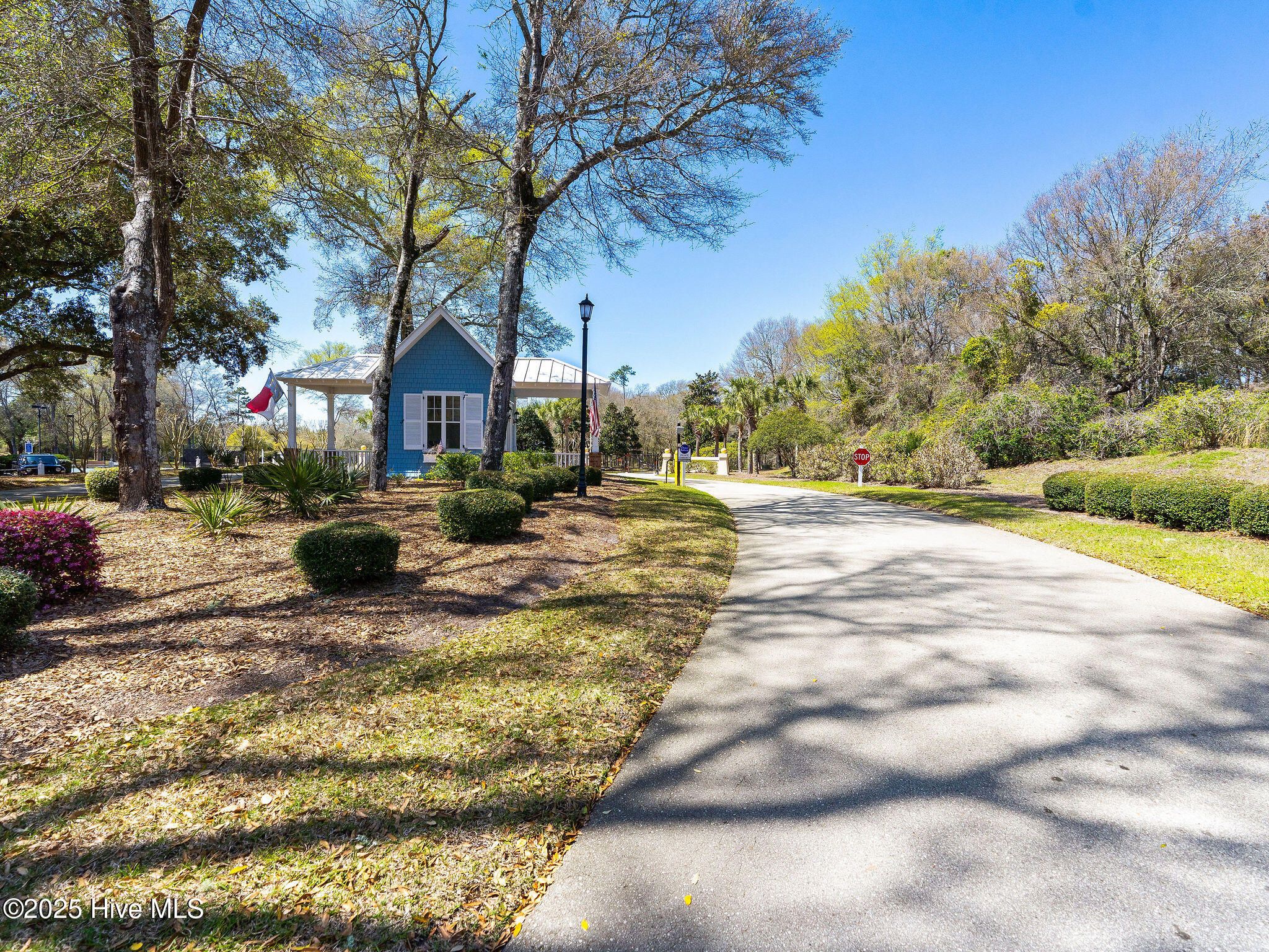 100518785 | Photo 21