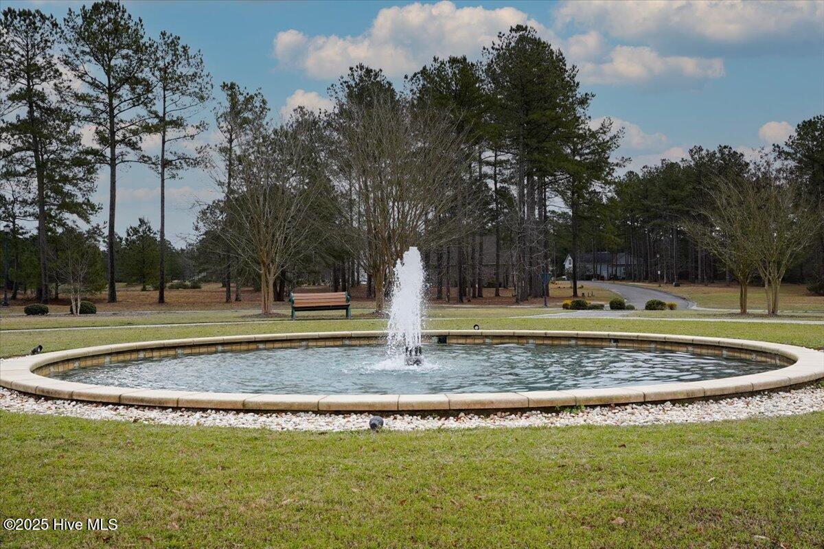 100534521 | Photo 44