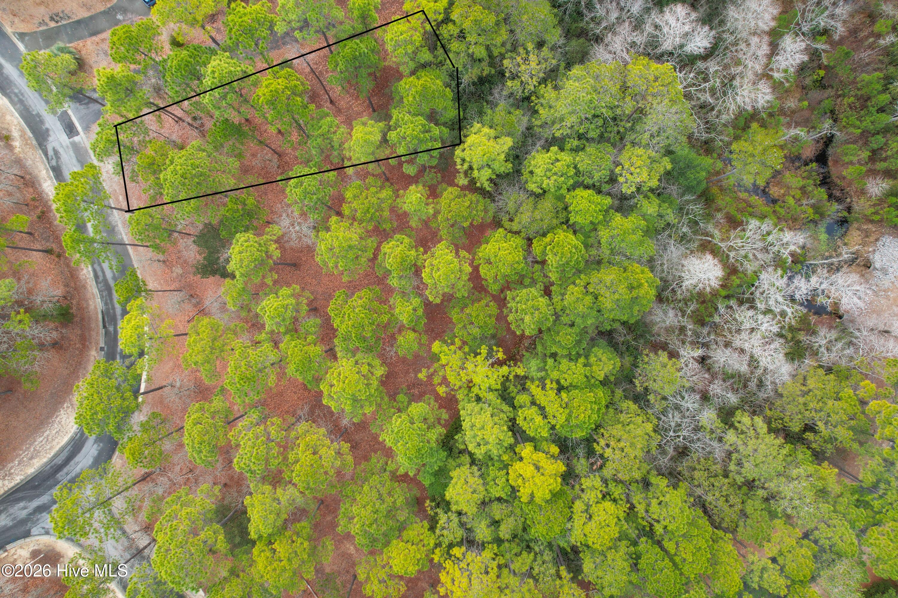 100555232 | Photo 10