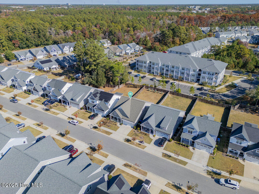 100542116 | Photo 33