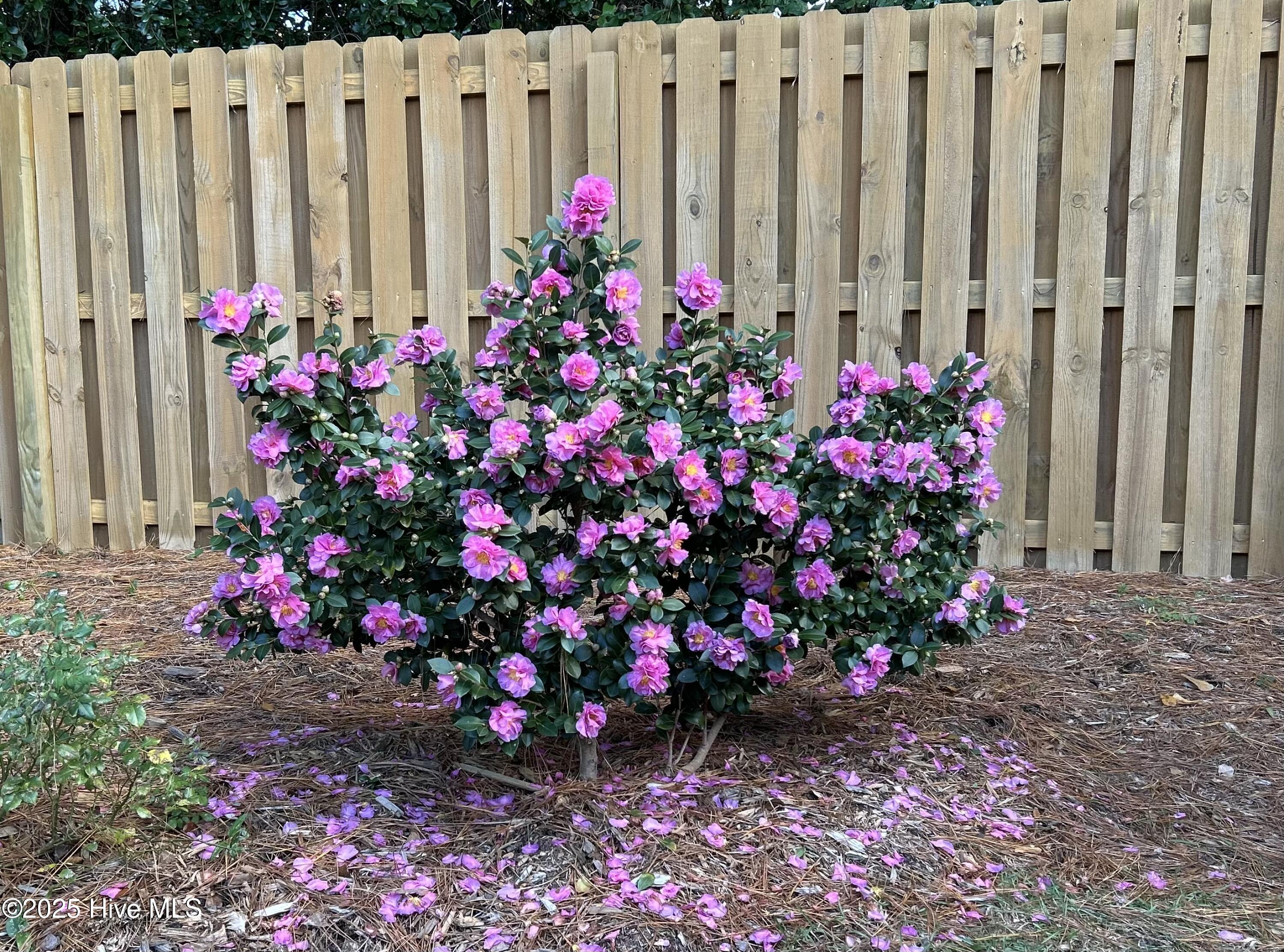 100545881 | Photo 35