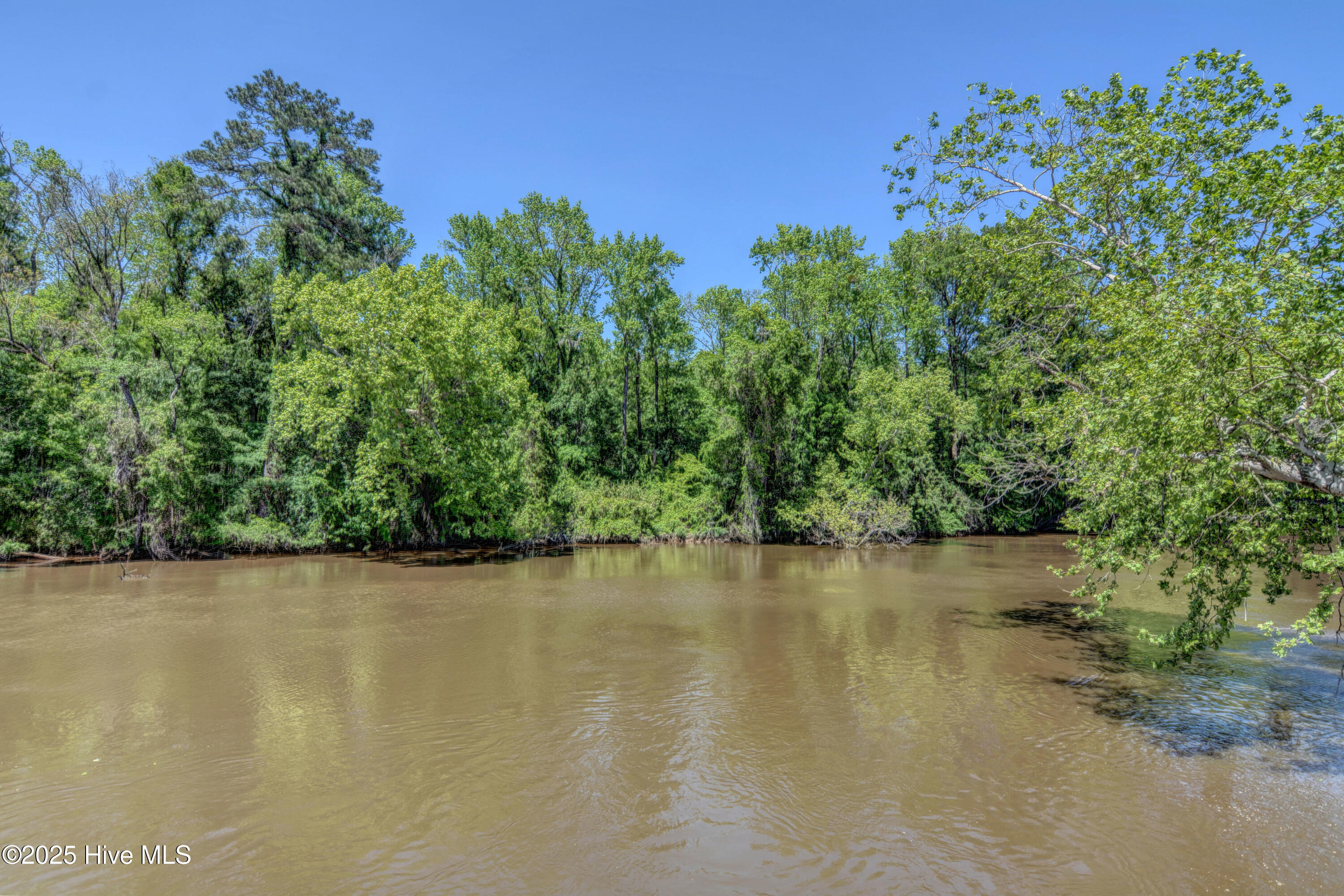 100531256 | Photo 60