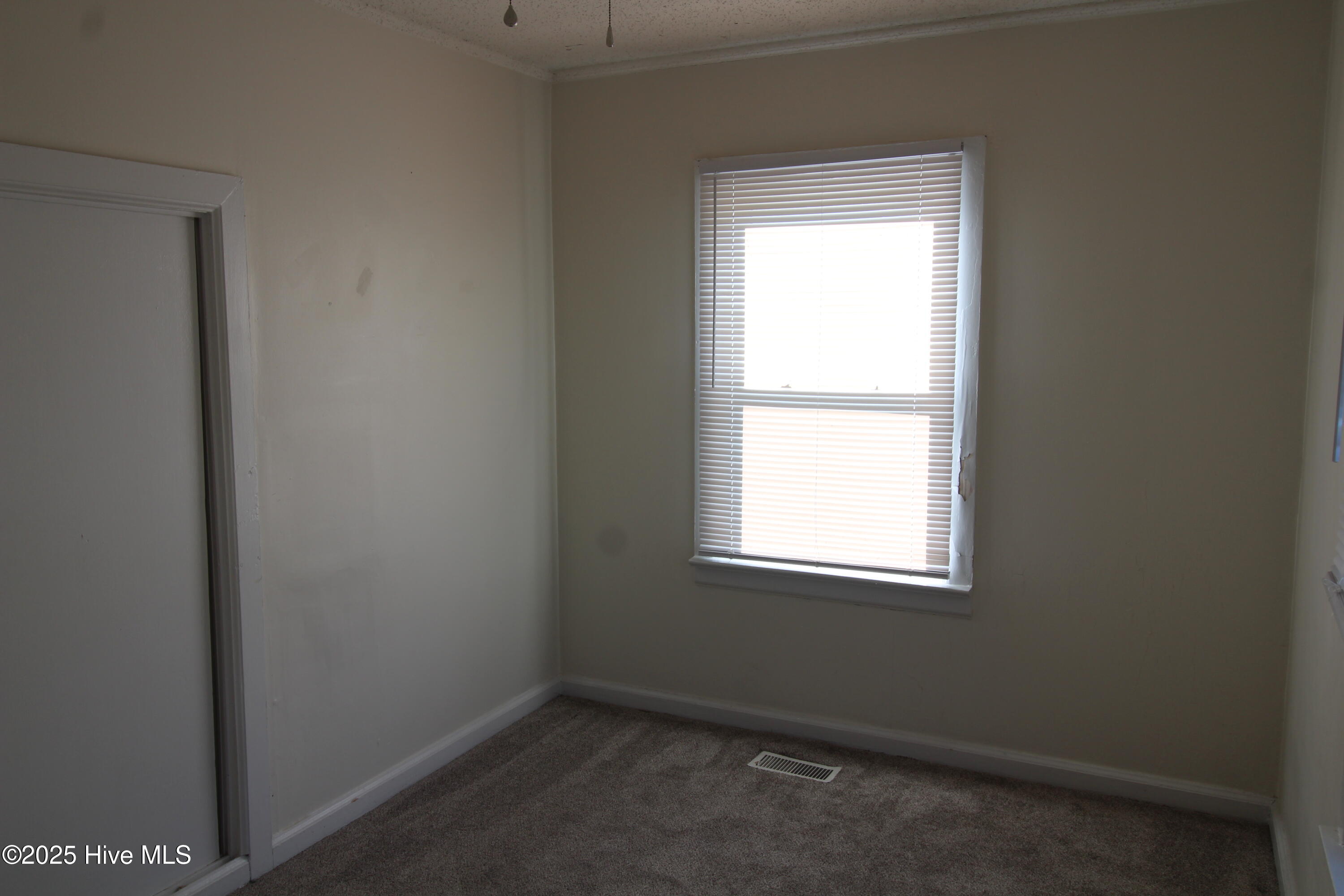 100539657 | Photo 12