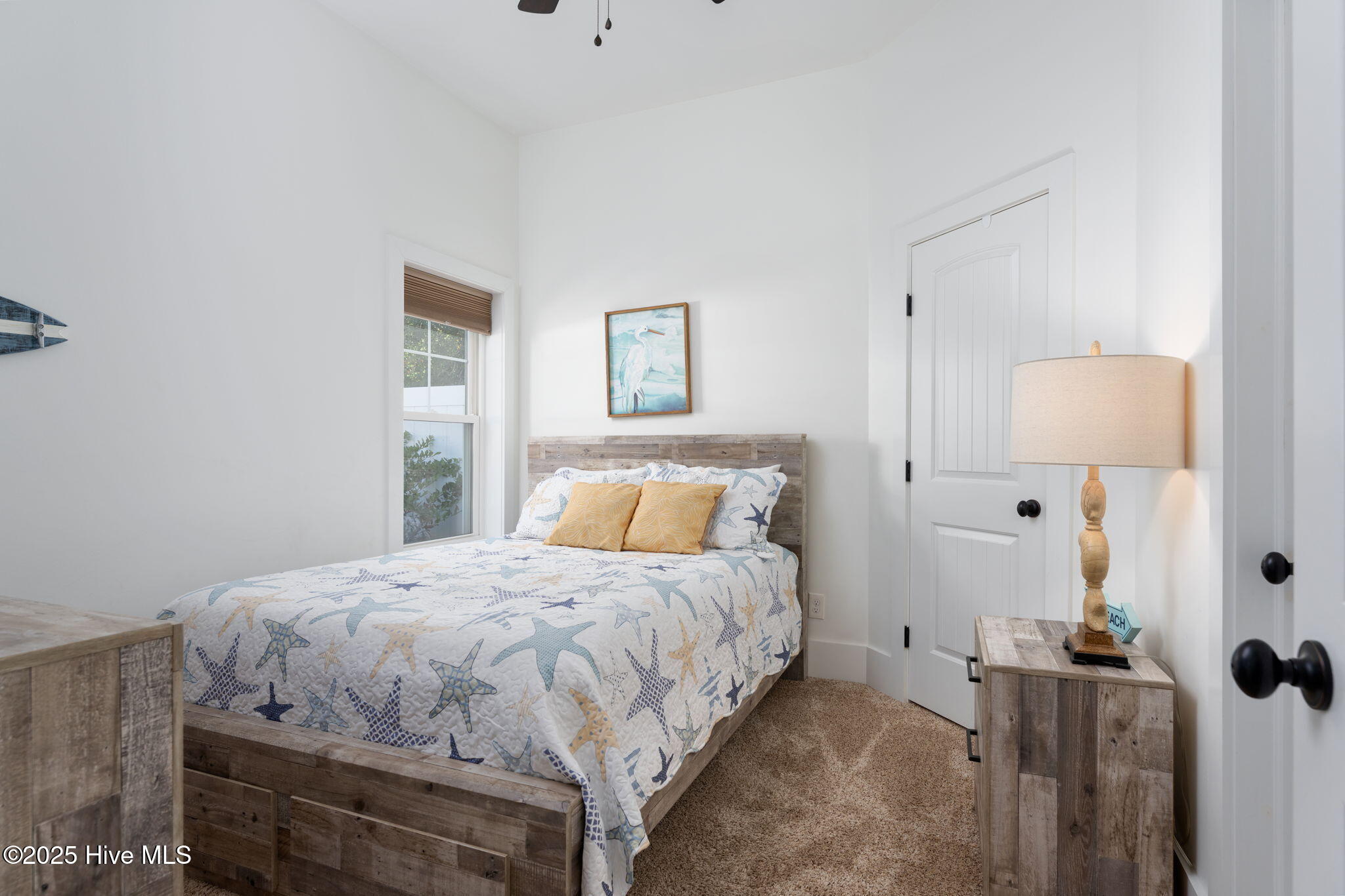 100537095 | Photo 51