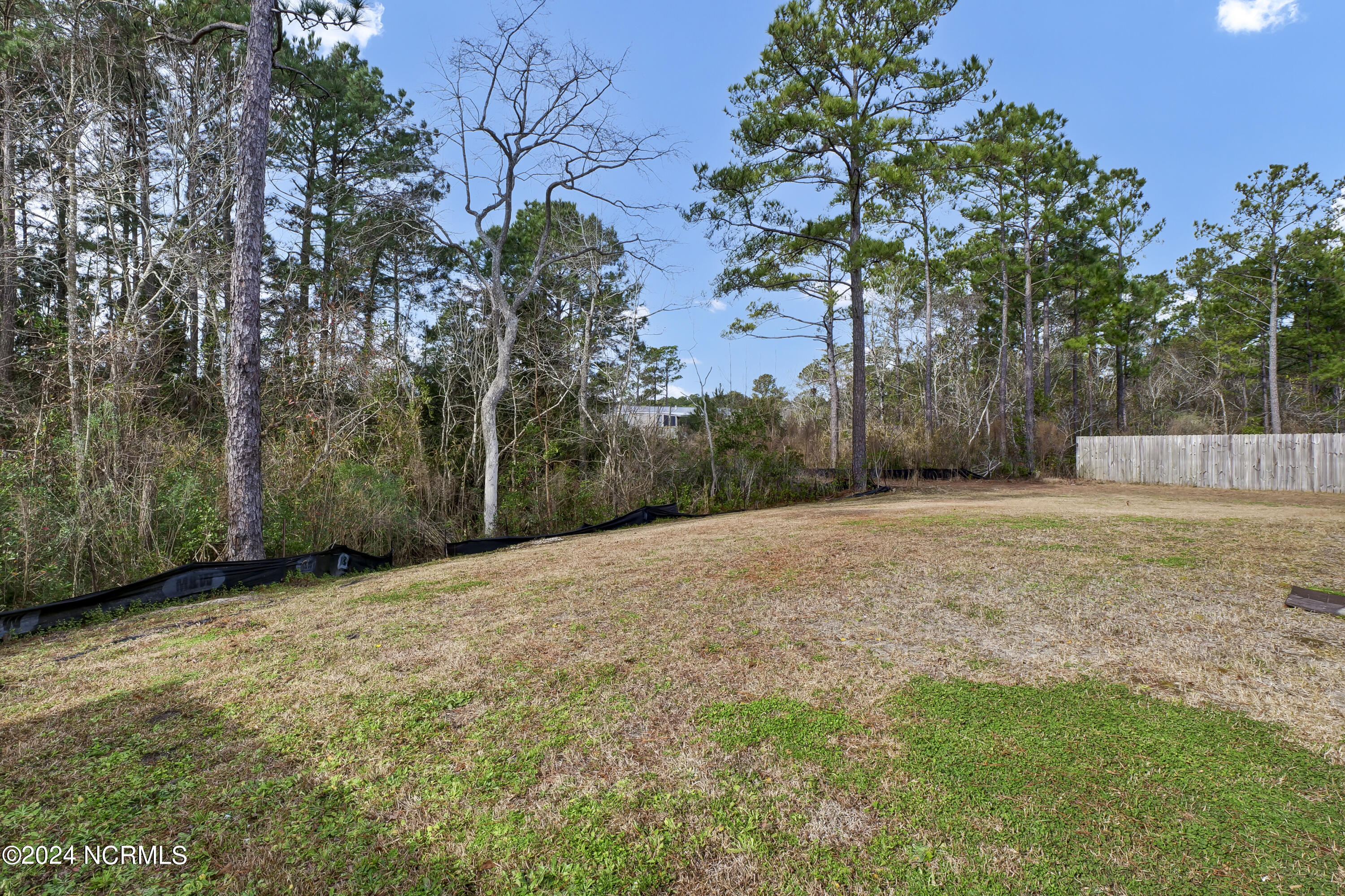 100552526 | Photo 24