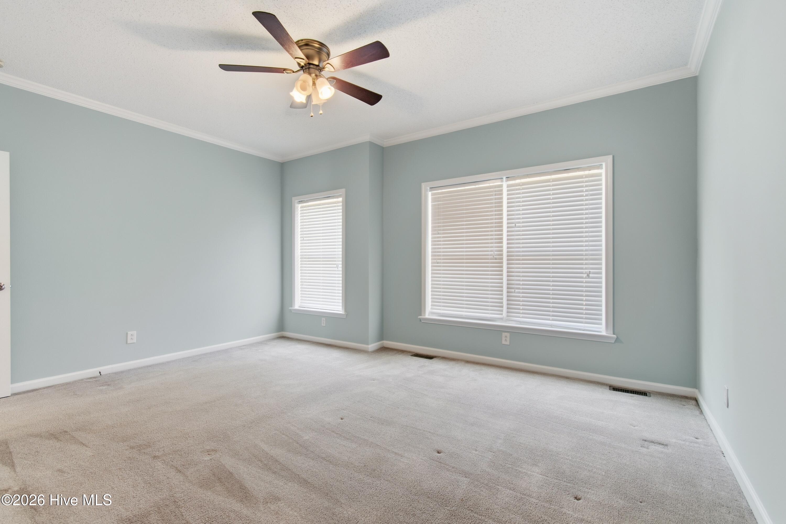 100556655 | Photo 47