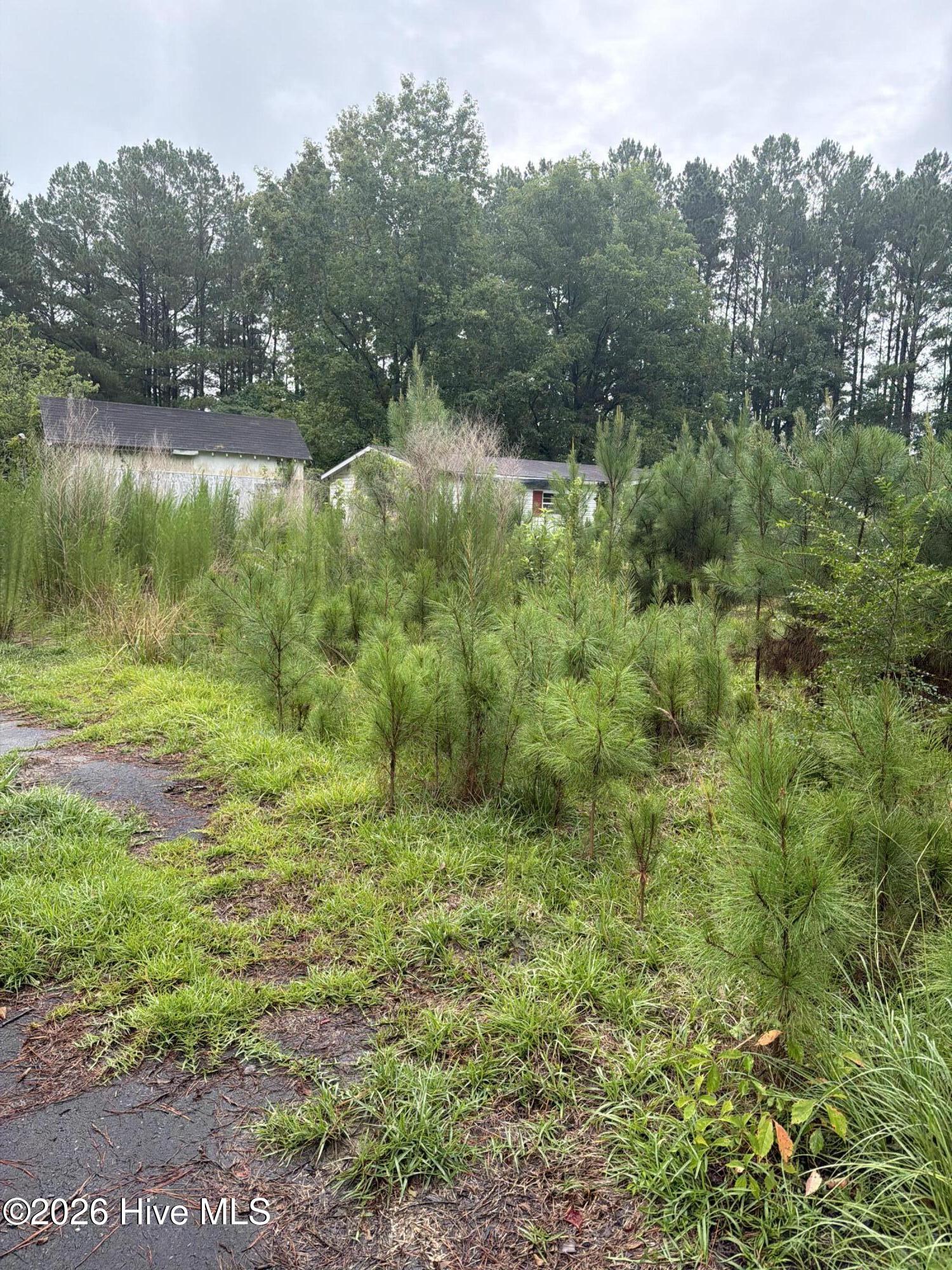 2nd image of 120 Deer Tract Dr, Washington, NC 27889 | MLS# 100596834