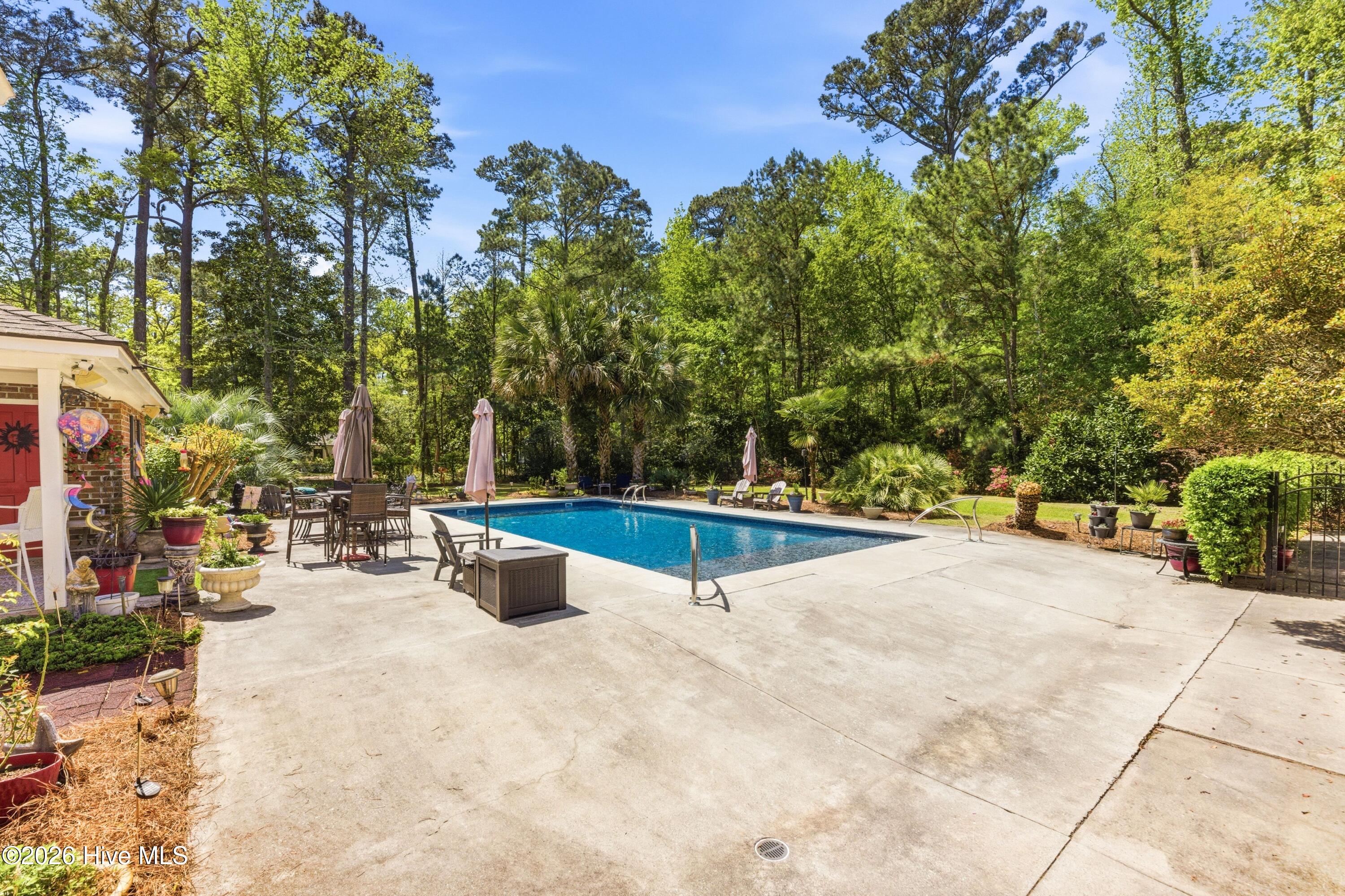 100566267 | Photo 43