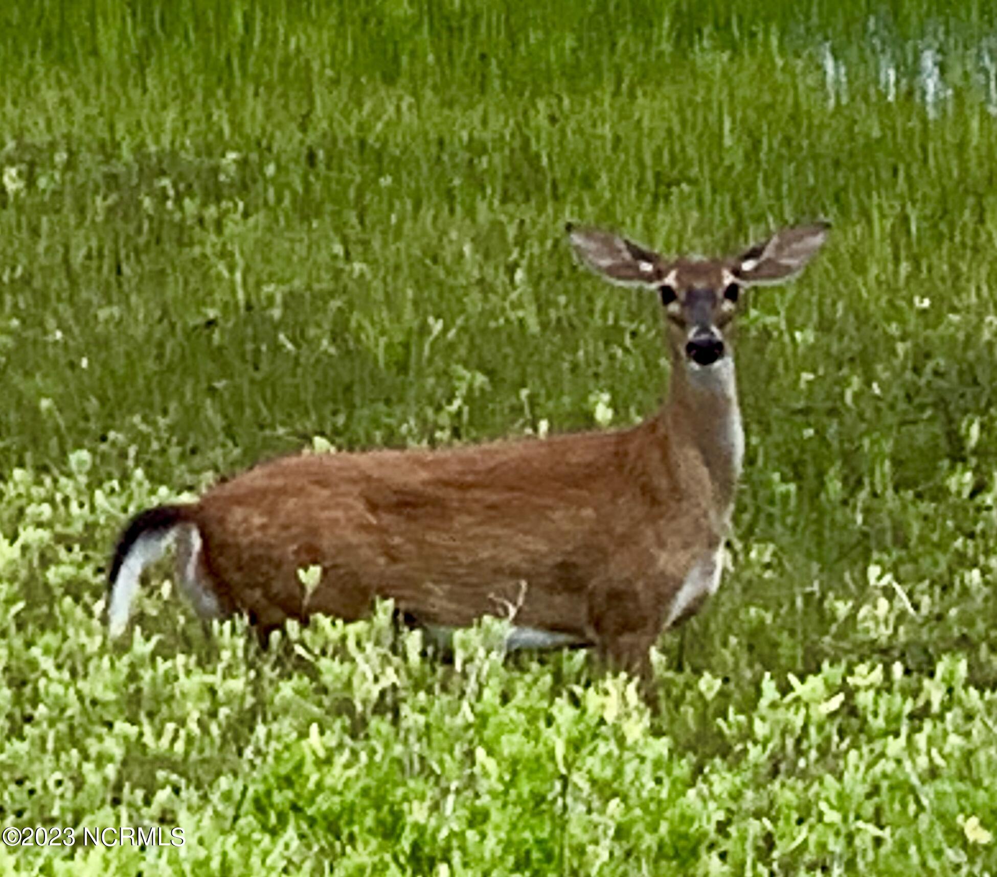 100388234 | Photo 38