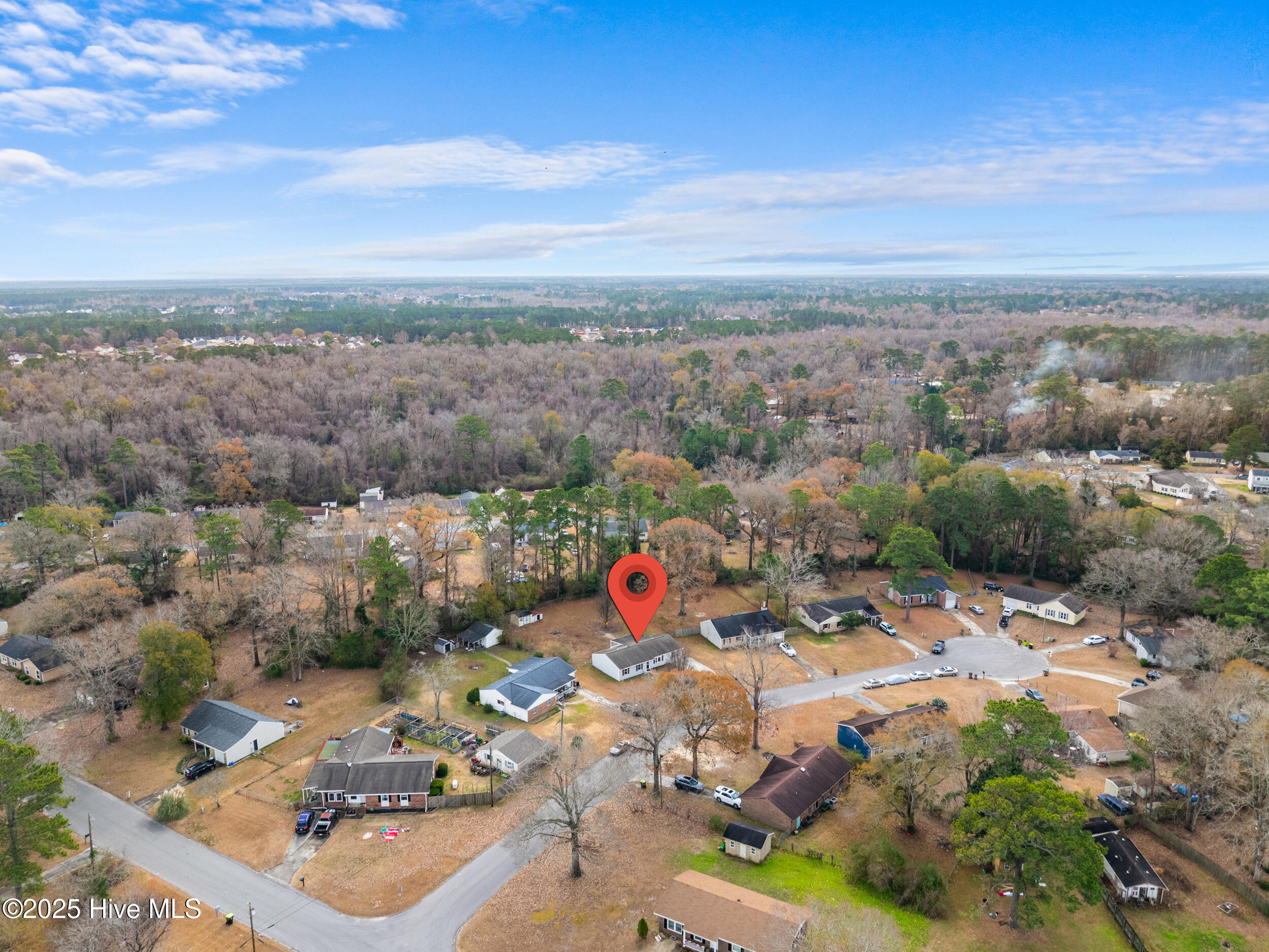 100546009 | Photo 57