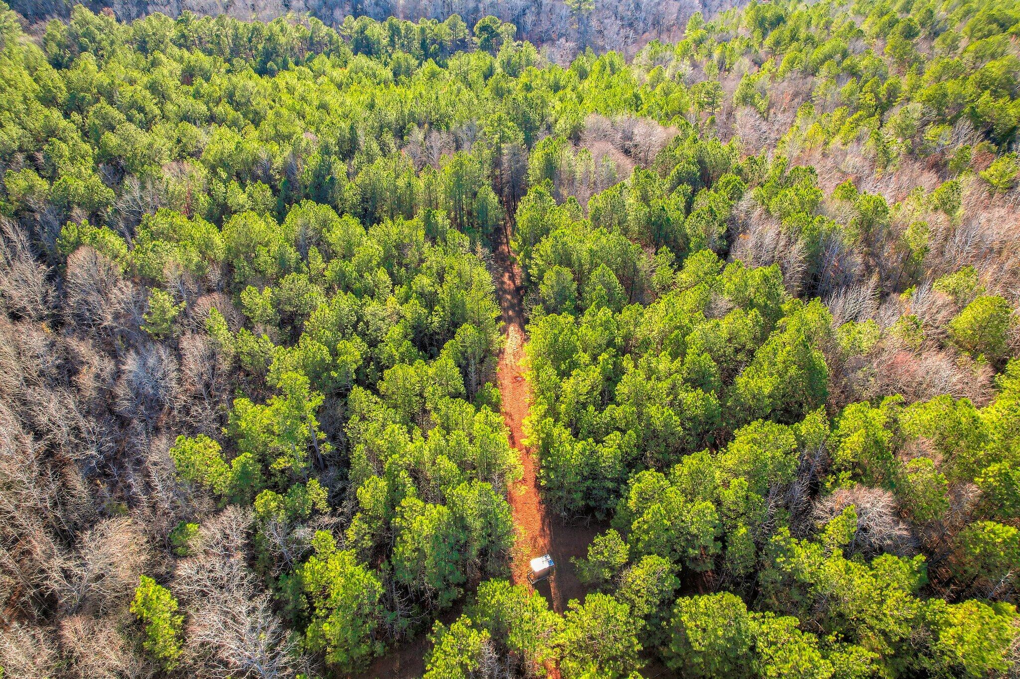 Homes for sale in Appling, GA | 5483 Tubman Rd, Appling, GA 30802 | MLS# 552067