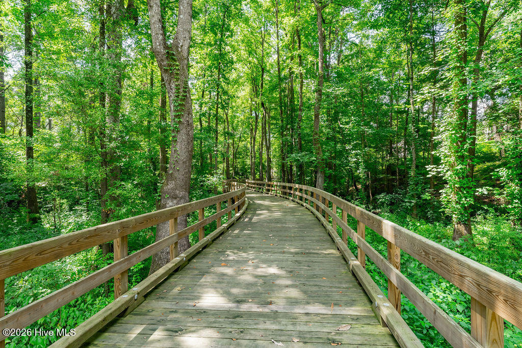 100558848 | Photo 45