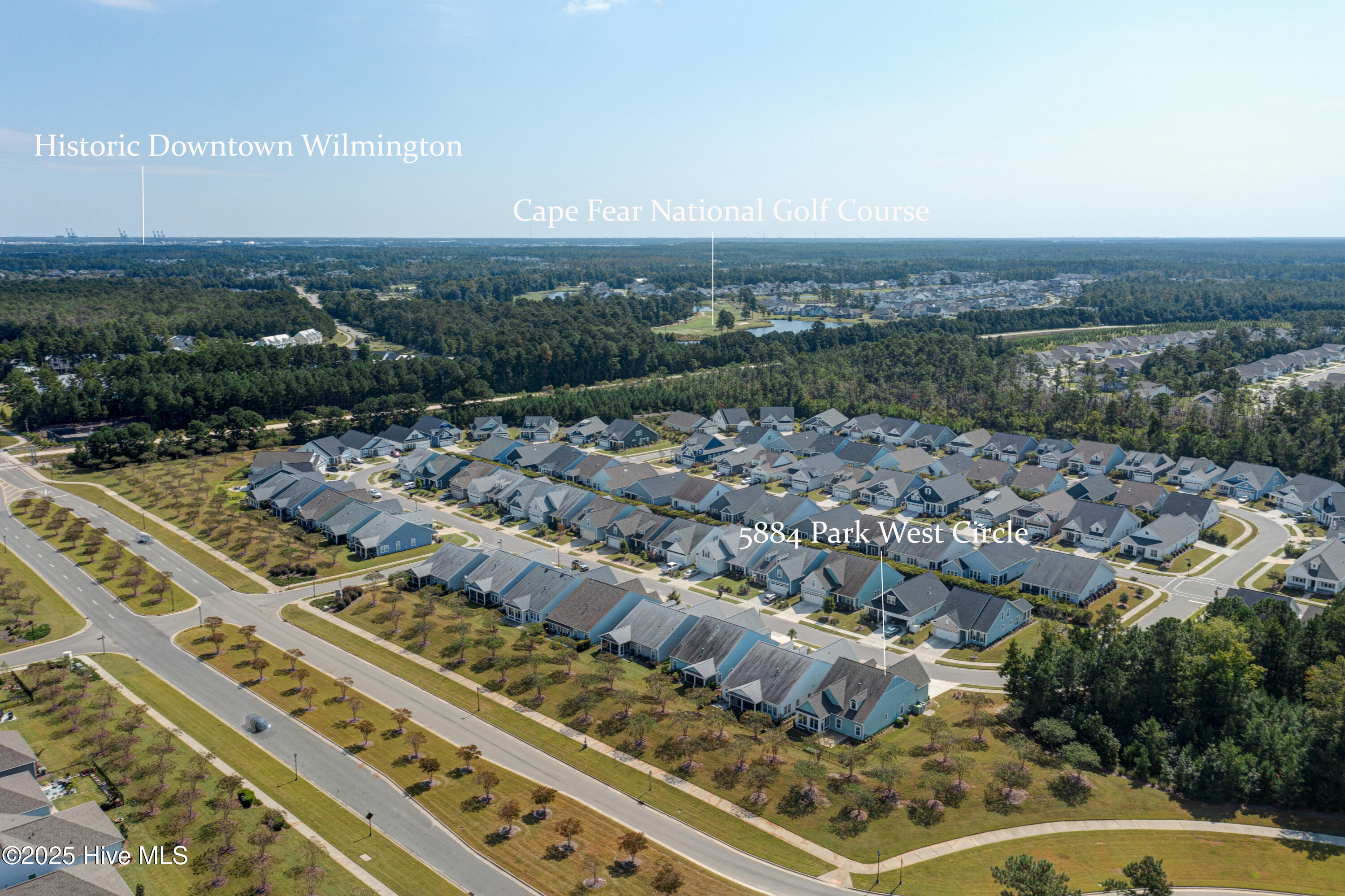 100533890 | Photo 42