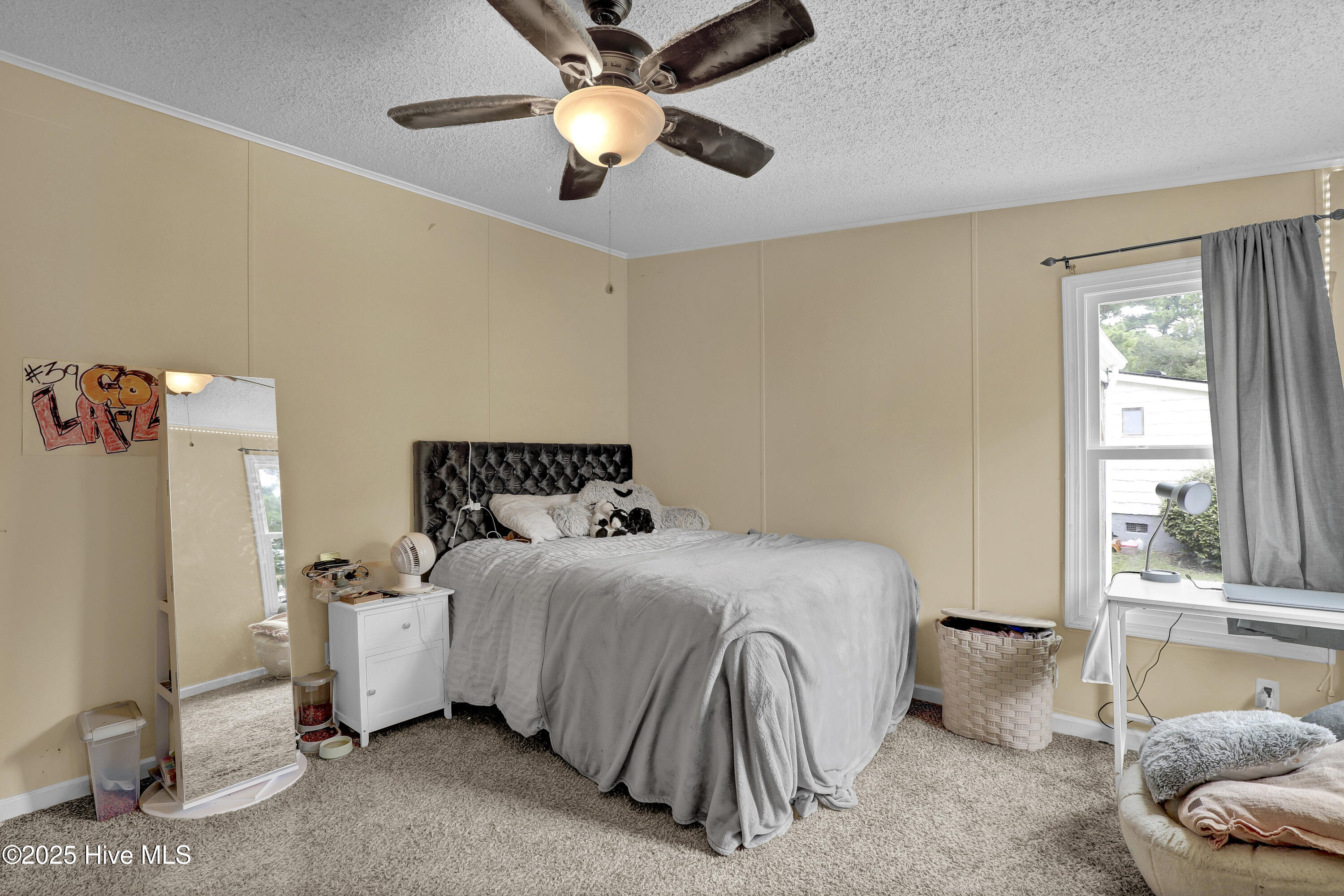 100523647 | Photo 17