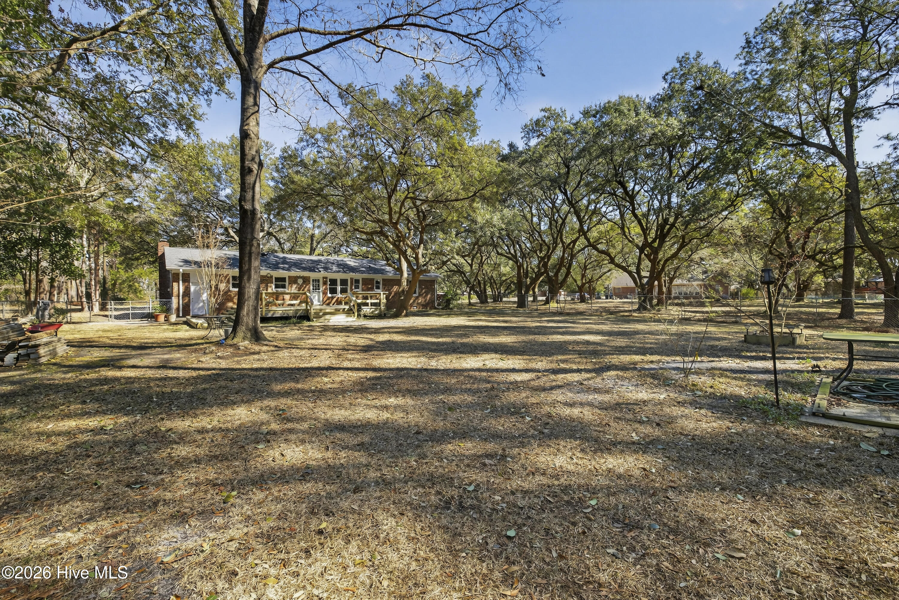 100556651 | Photo 35