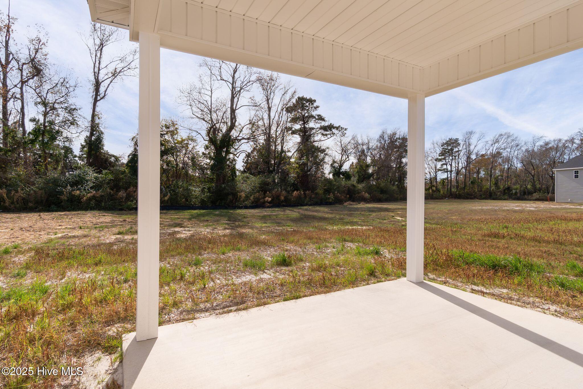 100531005 | Photo 45