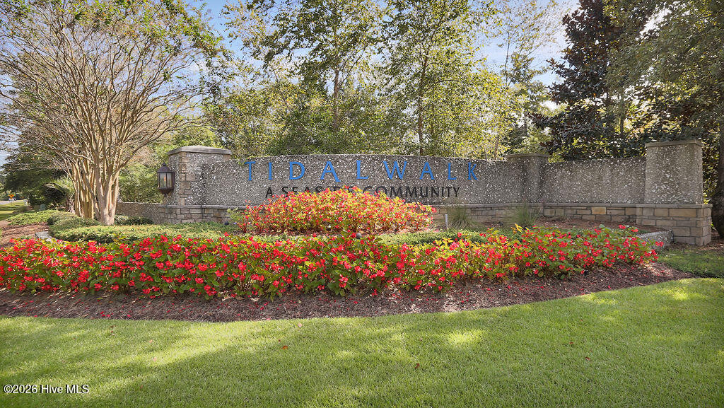 100564956 | Photo 85