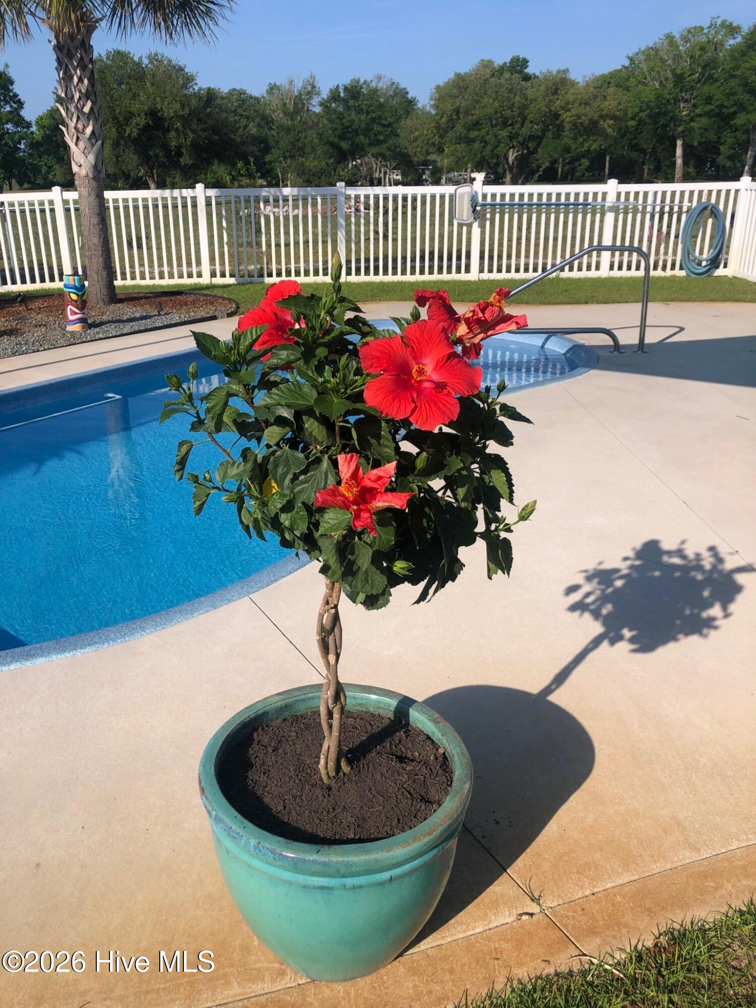 100555353 | Photo 44