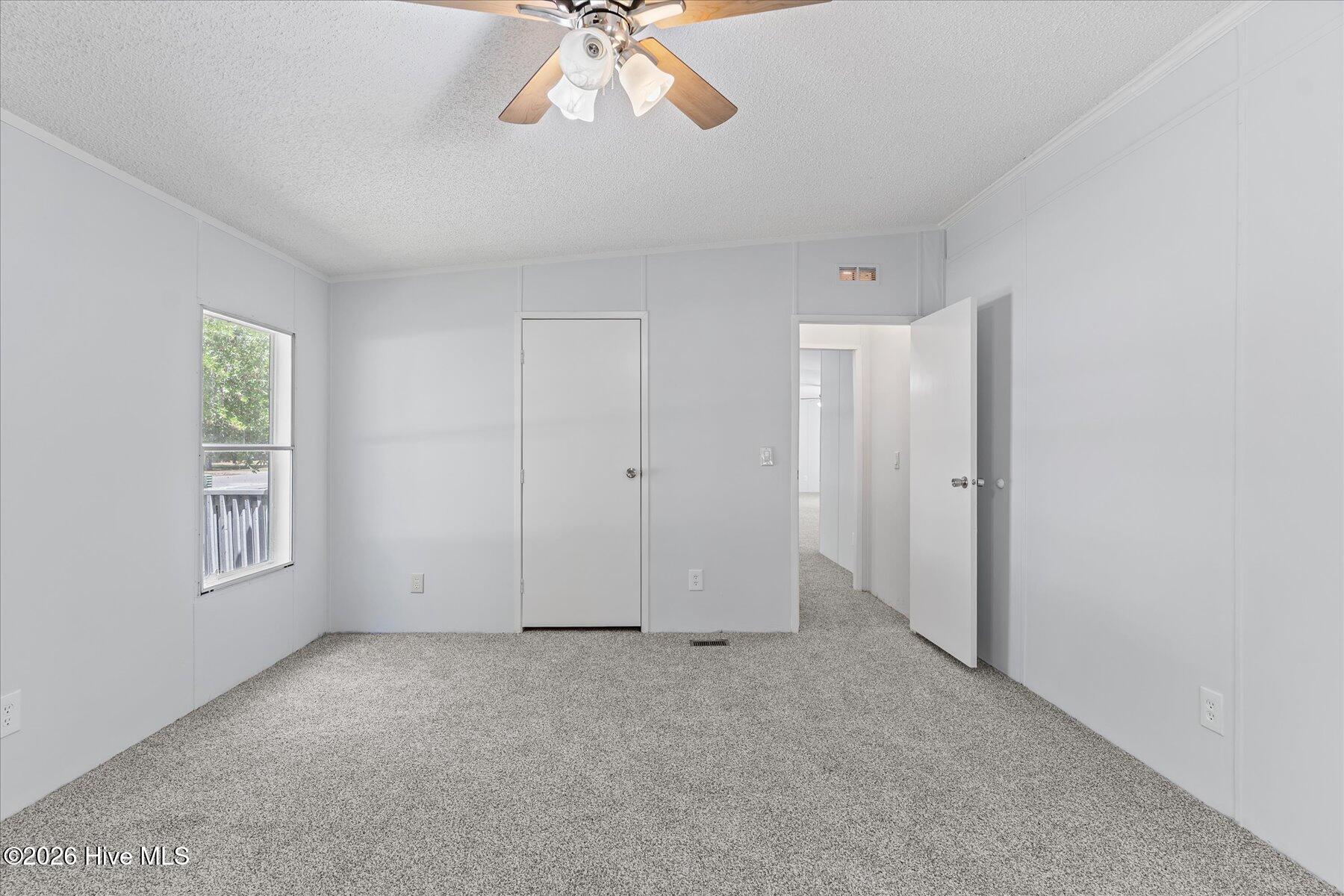 100567568 | Photo 31