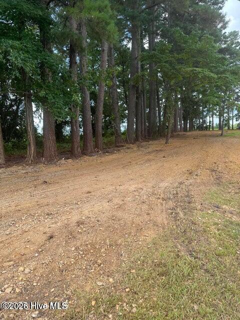 20250716214548254577000000-o