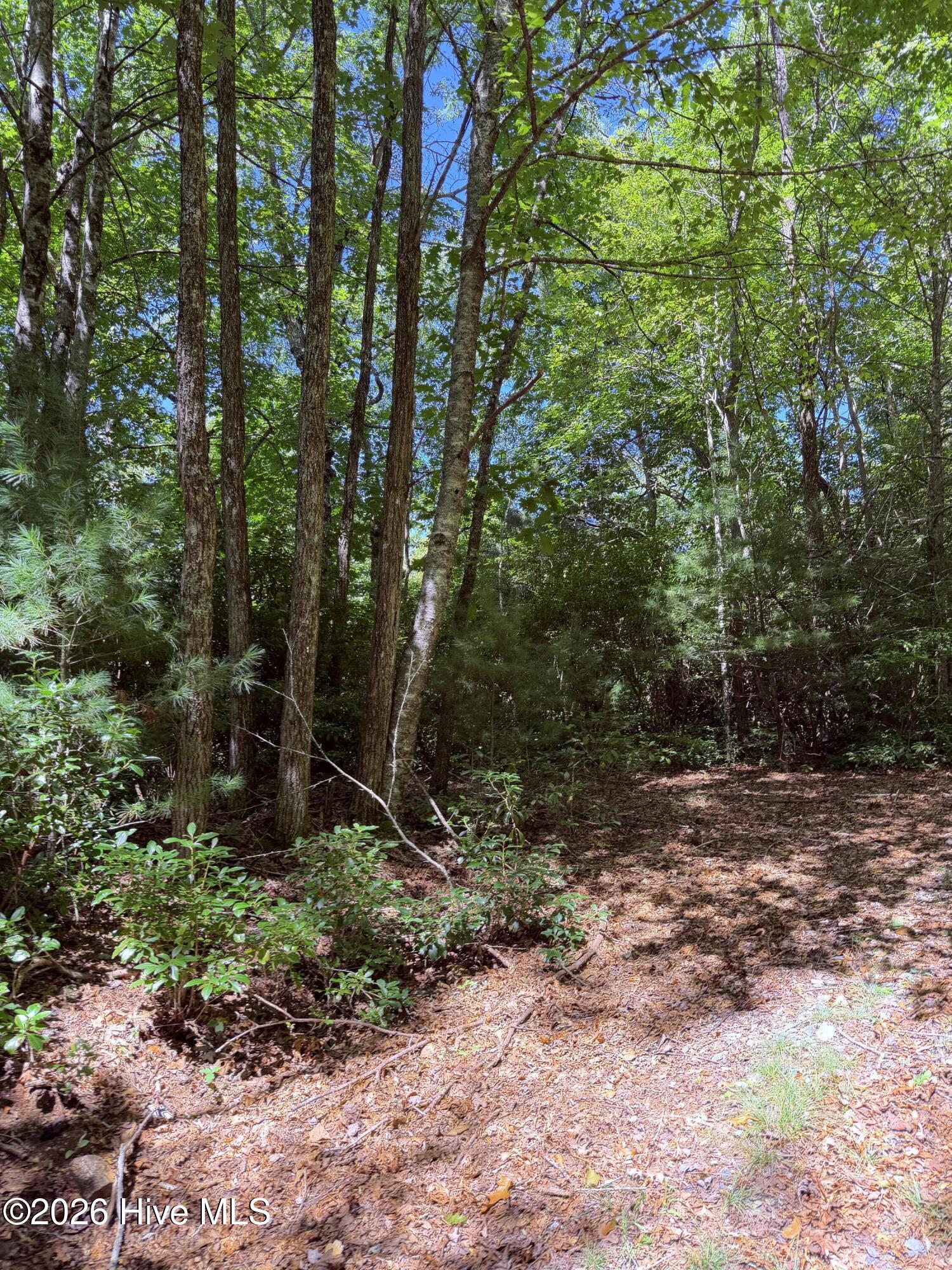 100607475 | Photo 3
