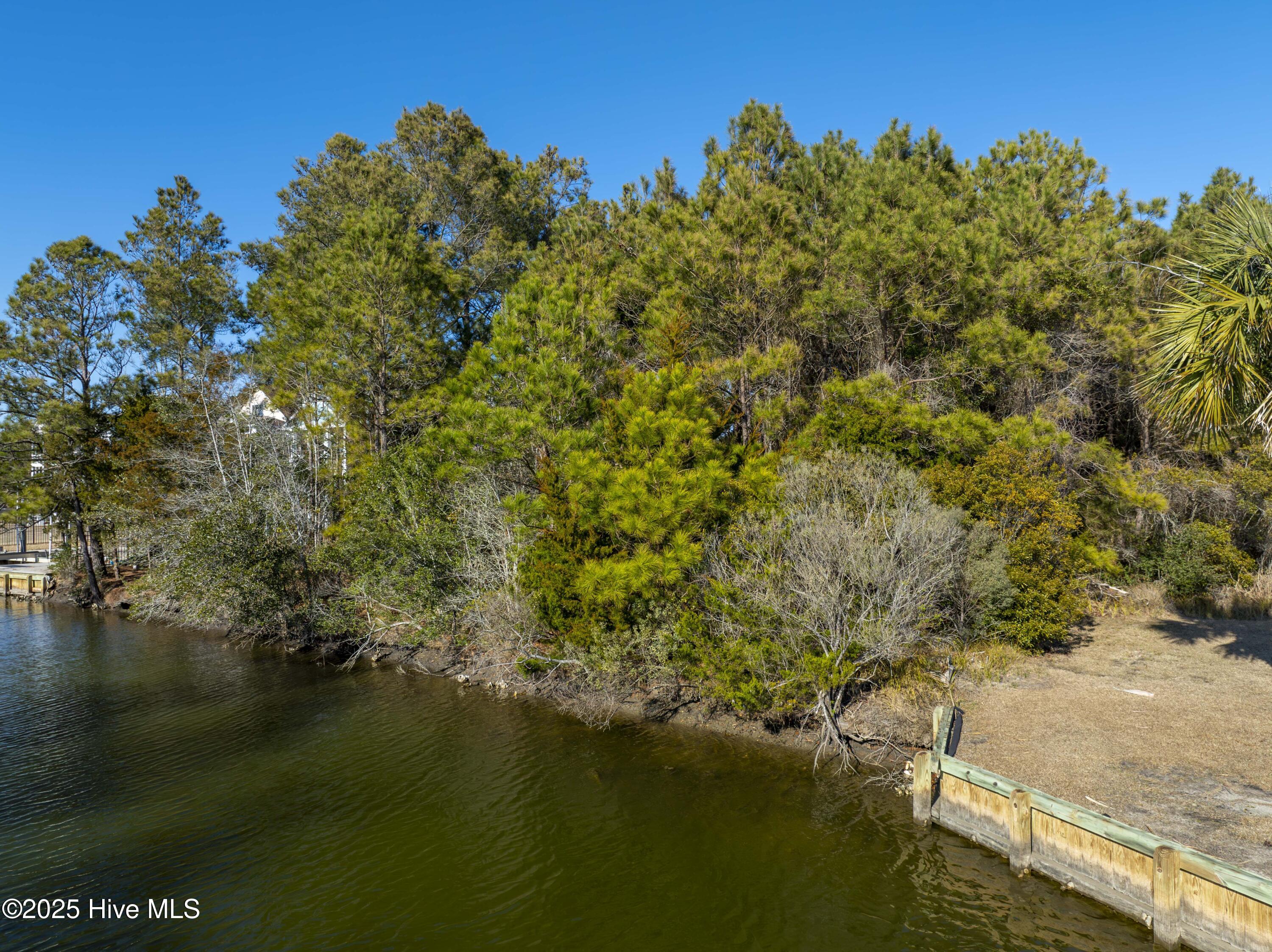 100554512 | Photo 23