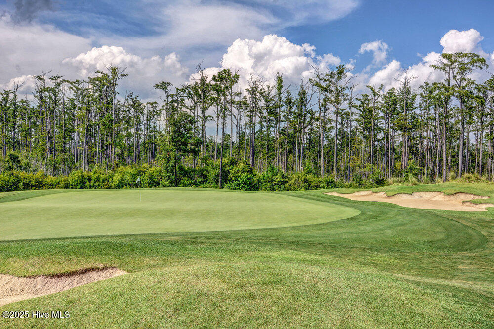 100541621 | Photo 31